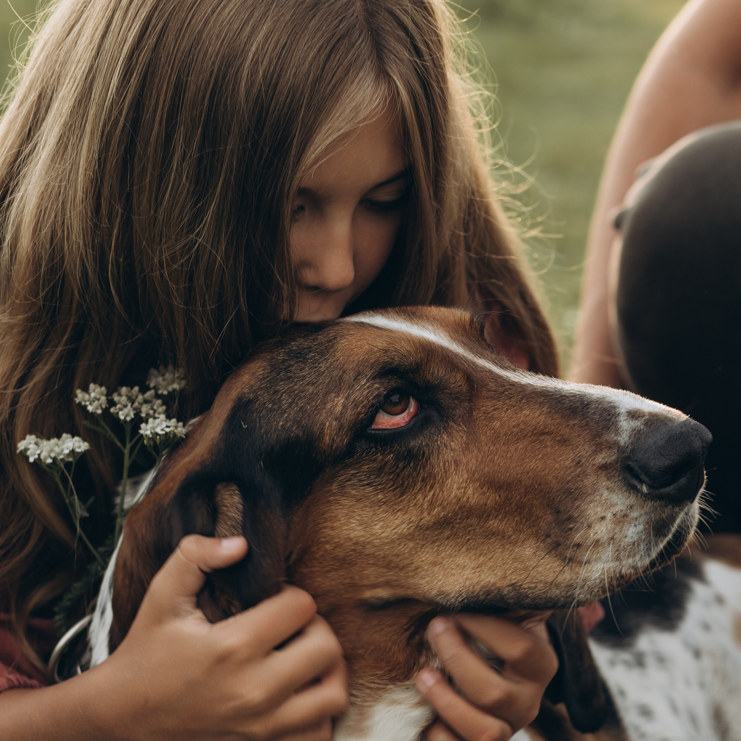 Там, где живет любовь
