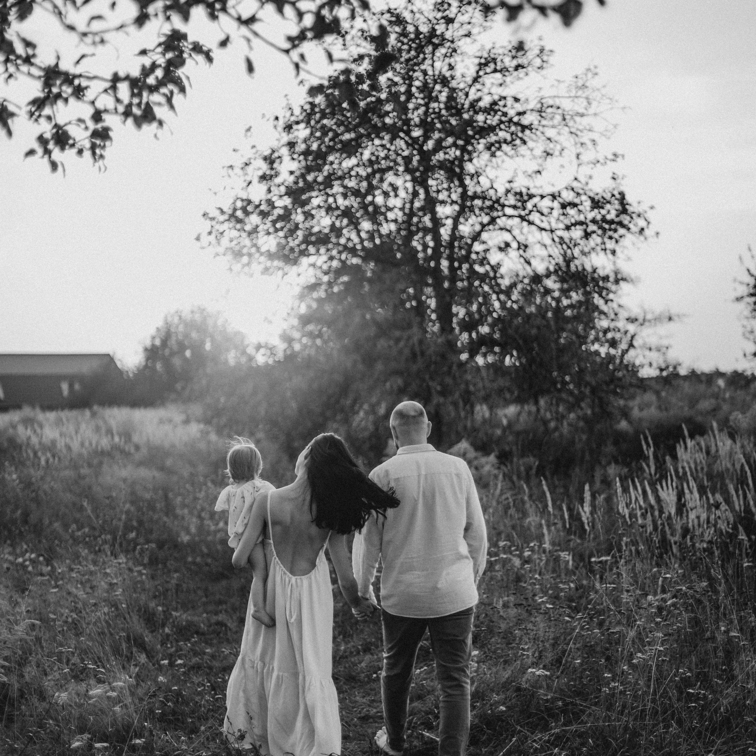 Летний вечер