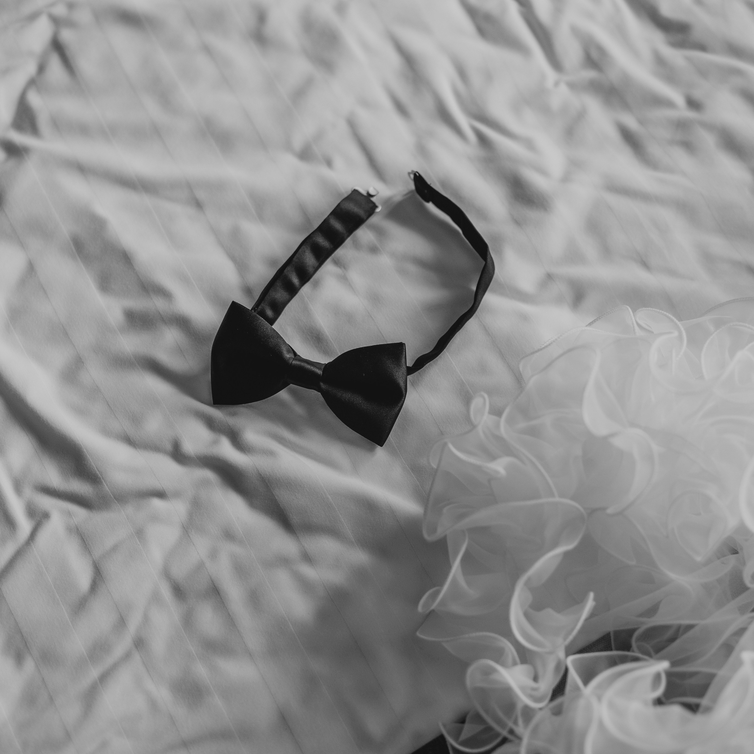 Всеволод и&nbsp;Анастасия