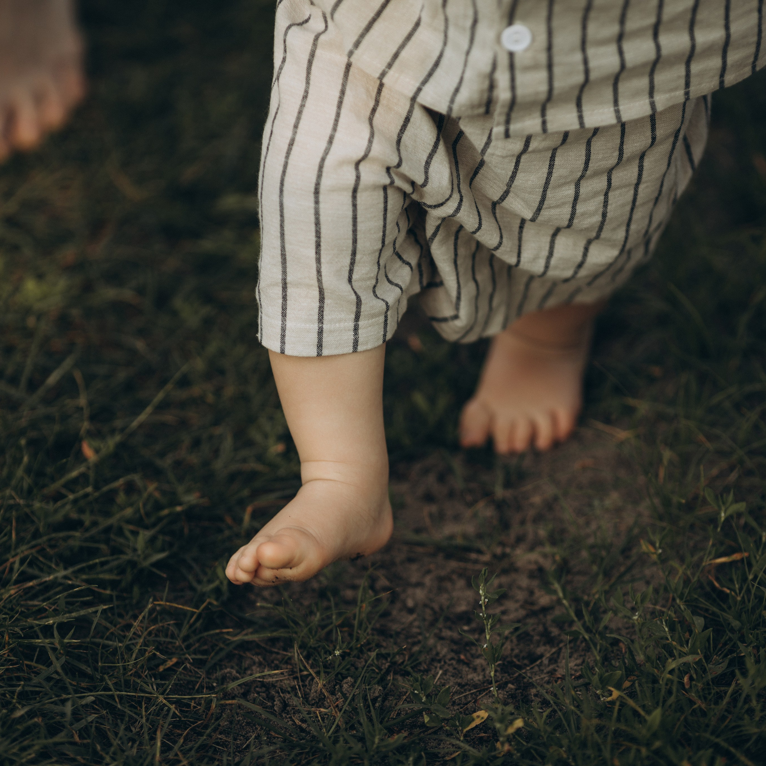 По тропинкам лета