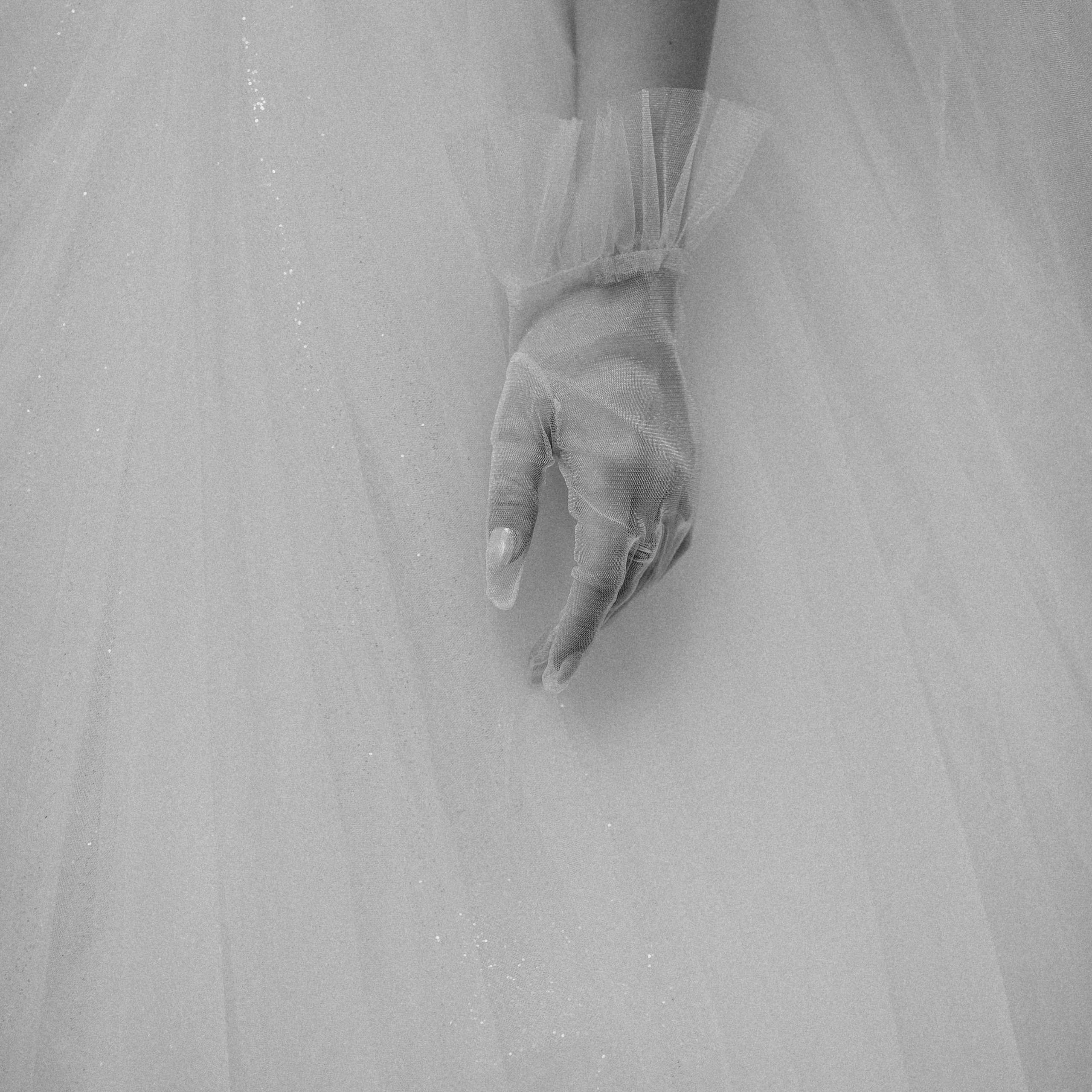 Евгений и&nbsp;Дарья