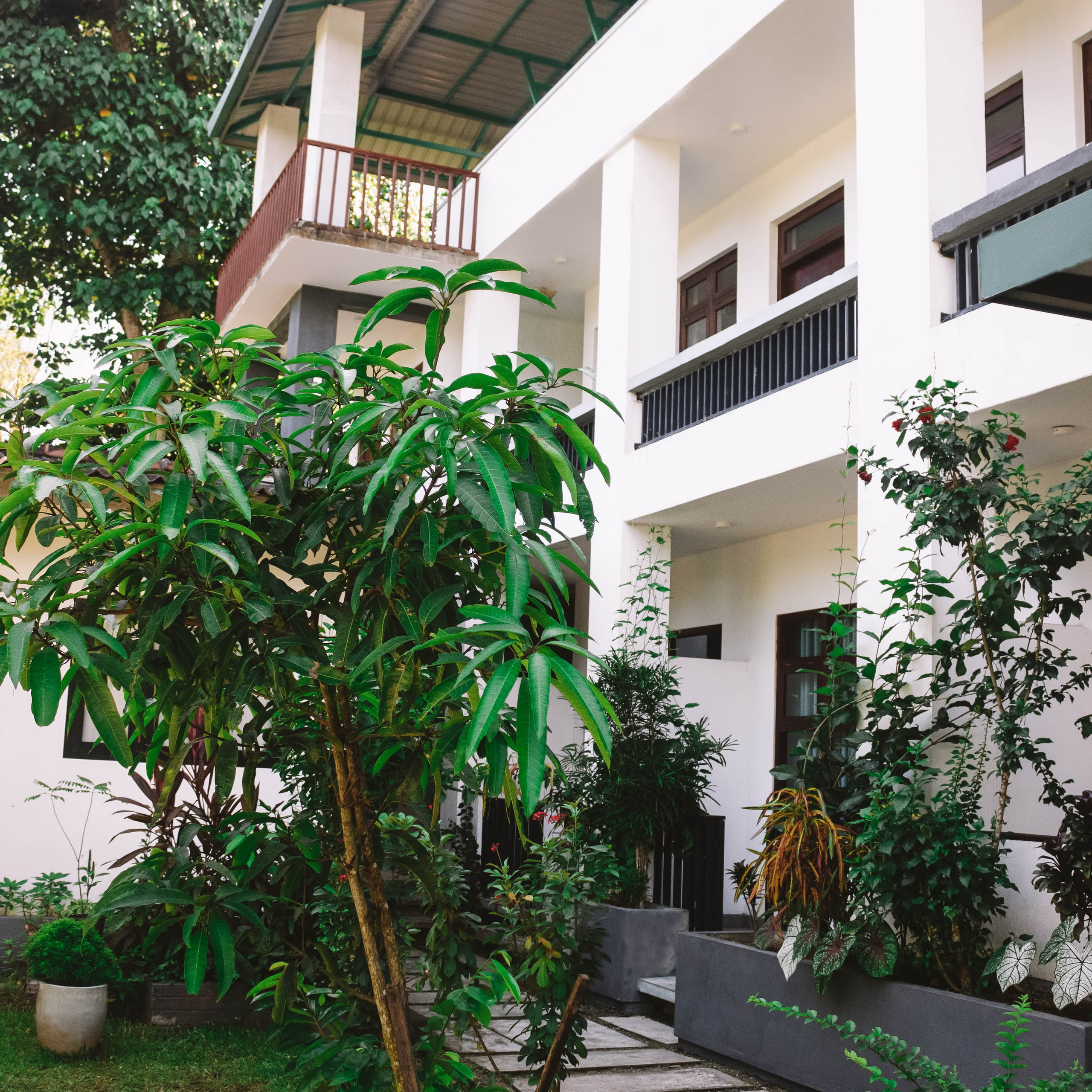 Отзывы. Фотограф Шри-Ланка Лукьянова Александра