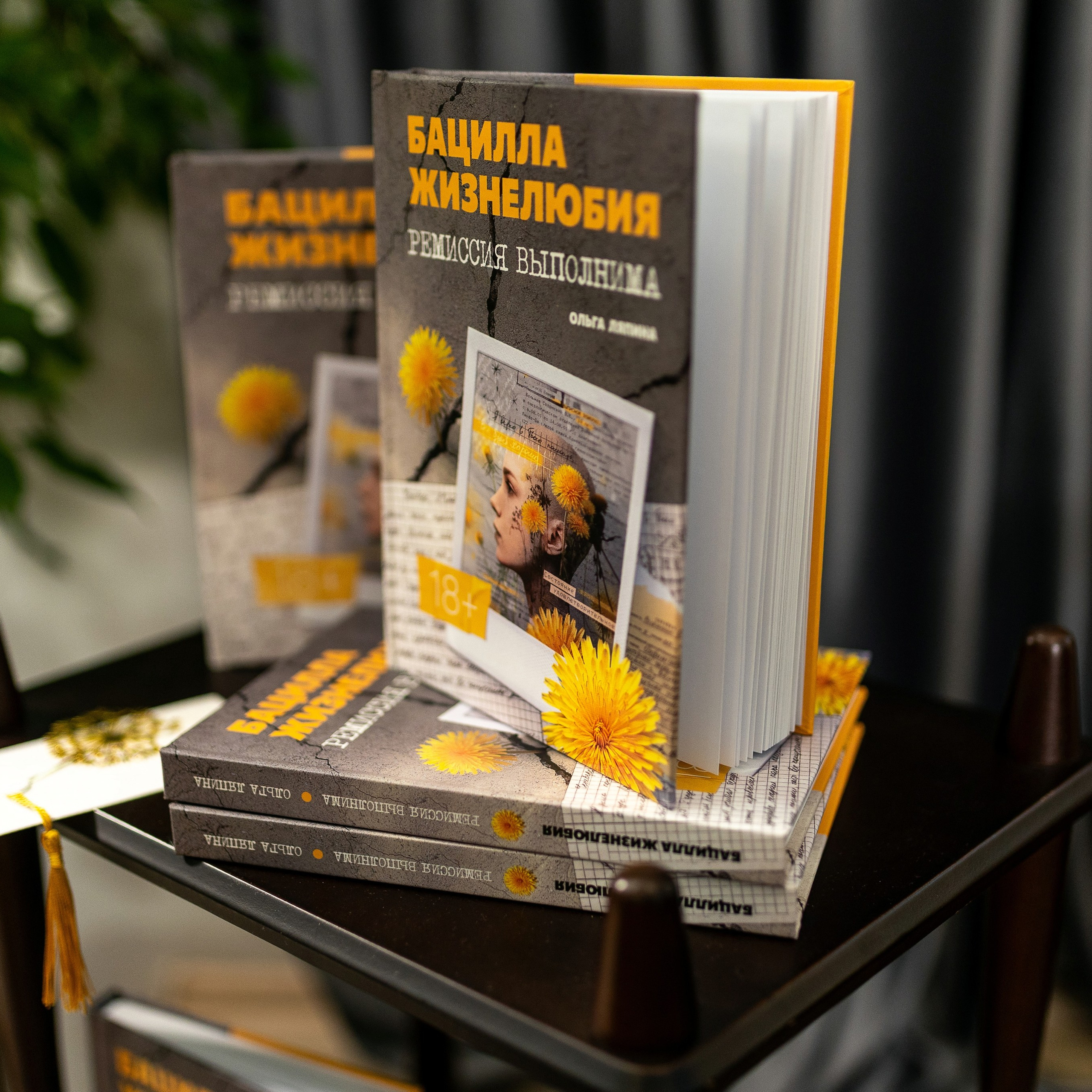 Репортаж с&nbsp;презентации книги «Бацилла жизнелюбия»