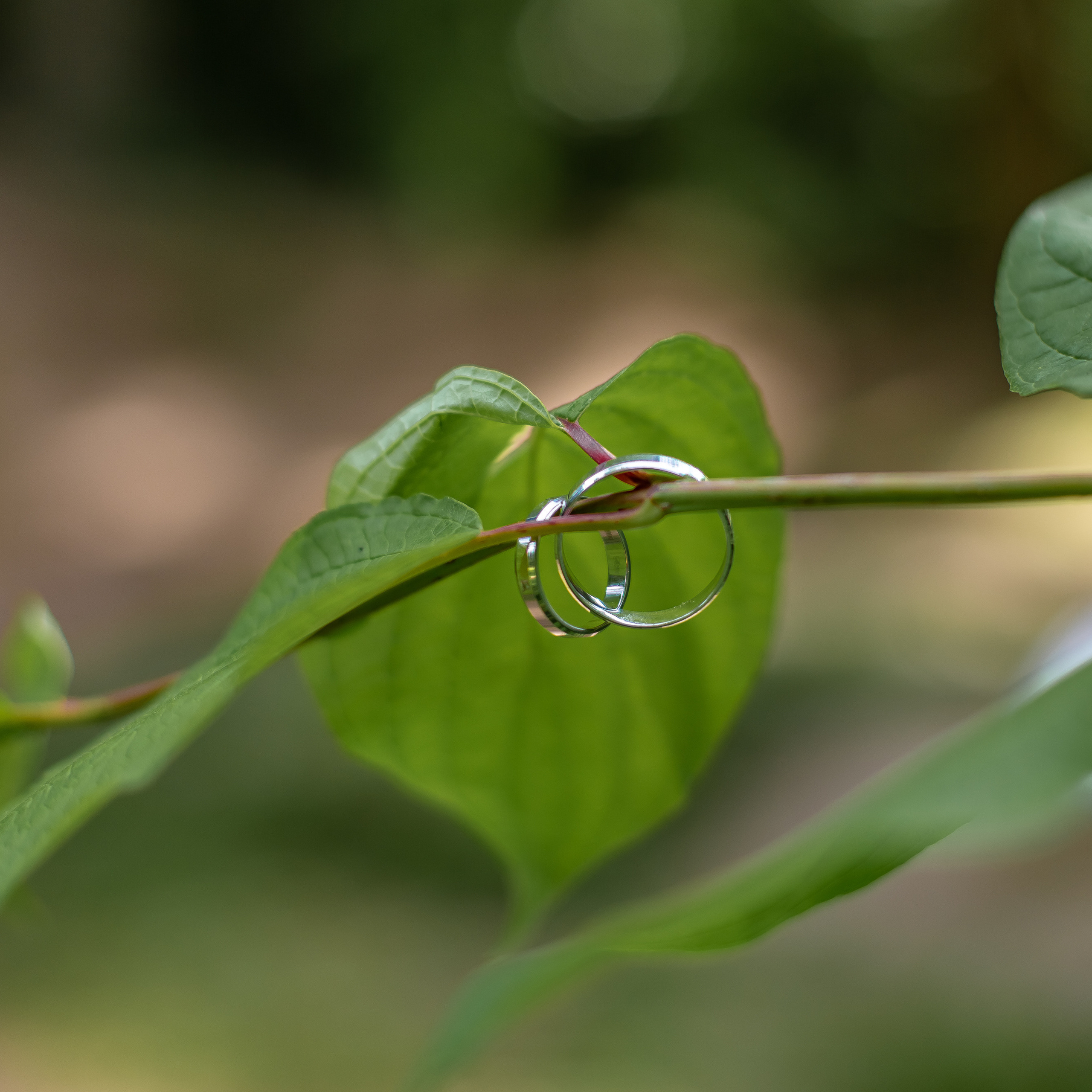 Отзывы. Репортажный, семейный, свадебный фотограф Санкт-Петербург Ольга Лесюк