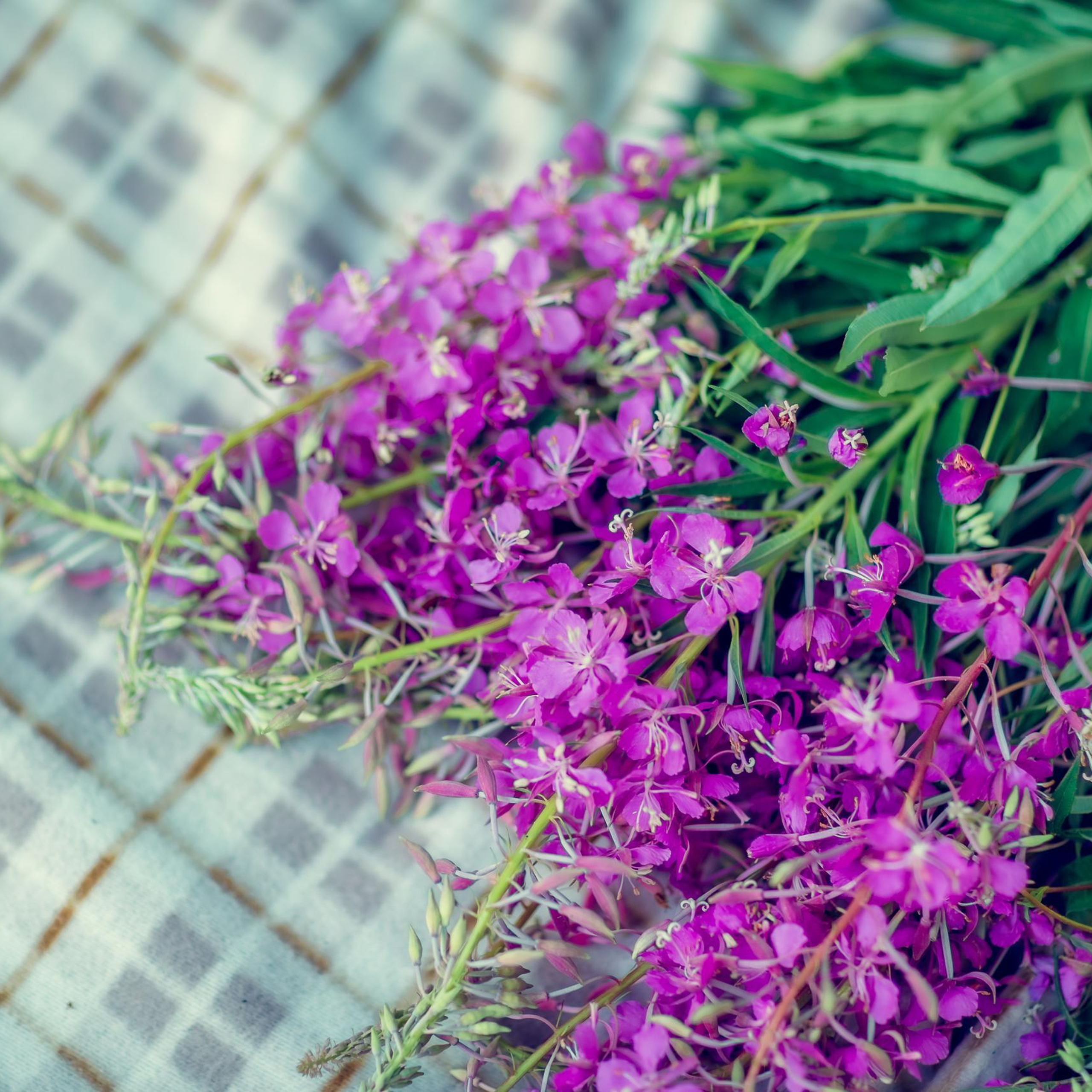 Отзывы. Репортажный, семейный, свадебный фотограф Санкт-Петербург Ольга Лесюк