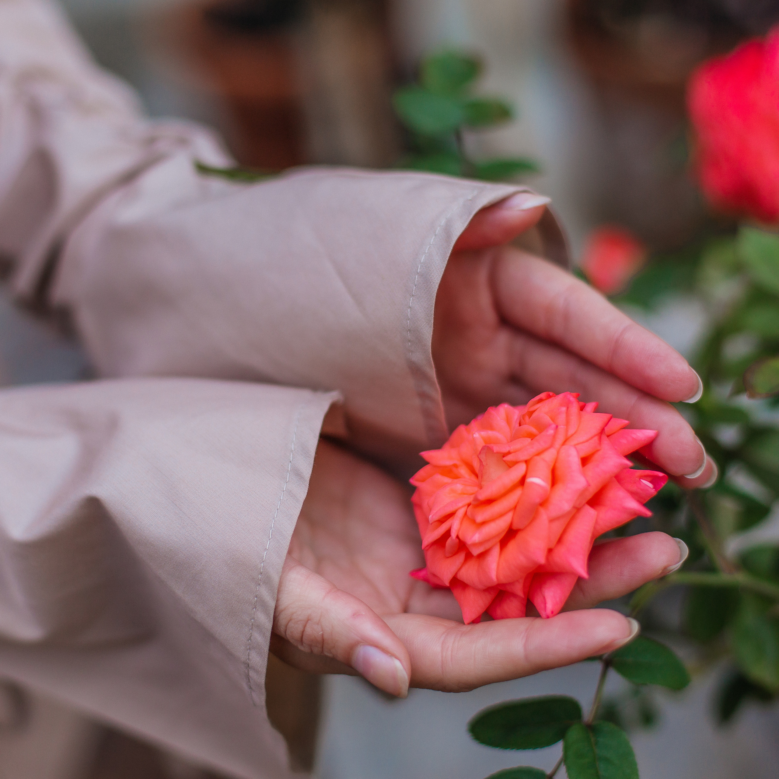 Отзывы. Репортажный, семейный, свадебный фотограф Санкт-Петербург Ольга Лесюк
