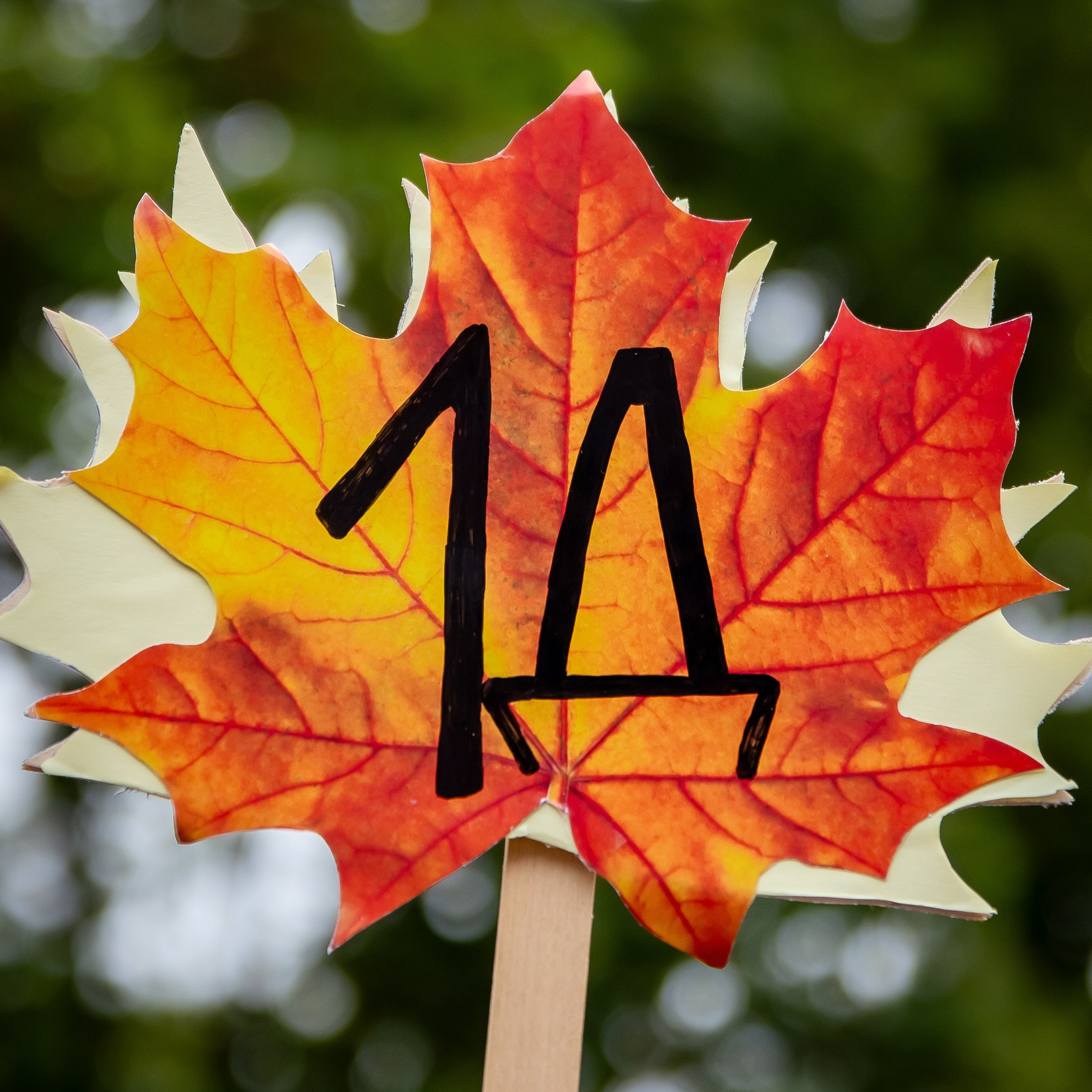 Отзывы. Репортажный, семейный, свадебный фотограф Санкт-Петербург Ольга Лесюк