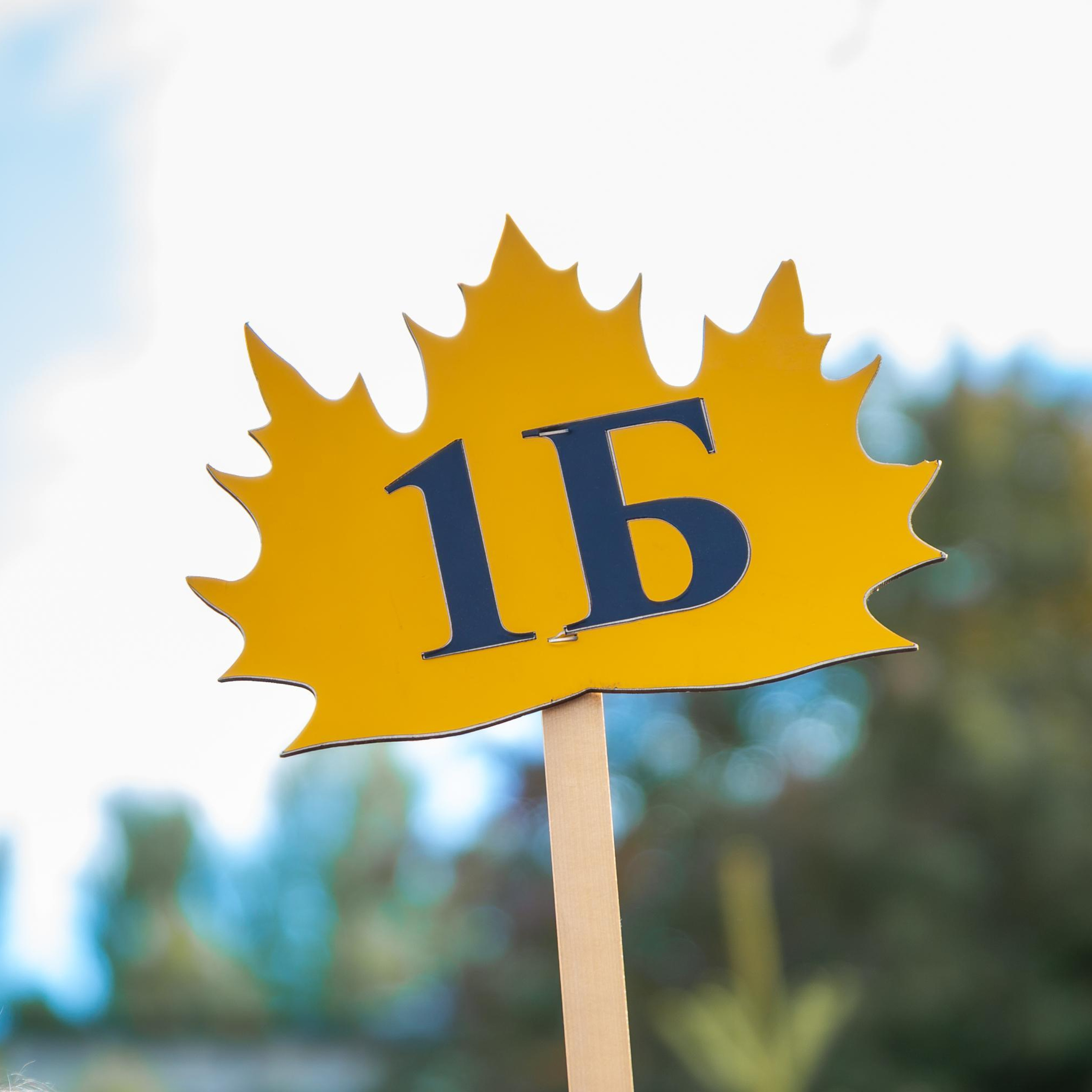 Отзывы. Репортажный, семейный, свадебный фотограф Санкт-Петербург Ольга Лесюк