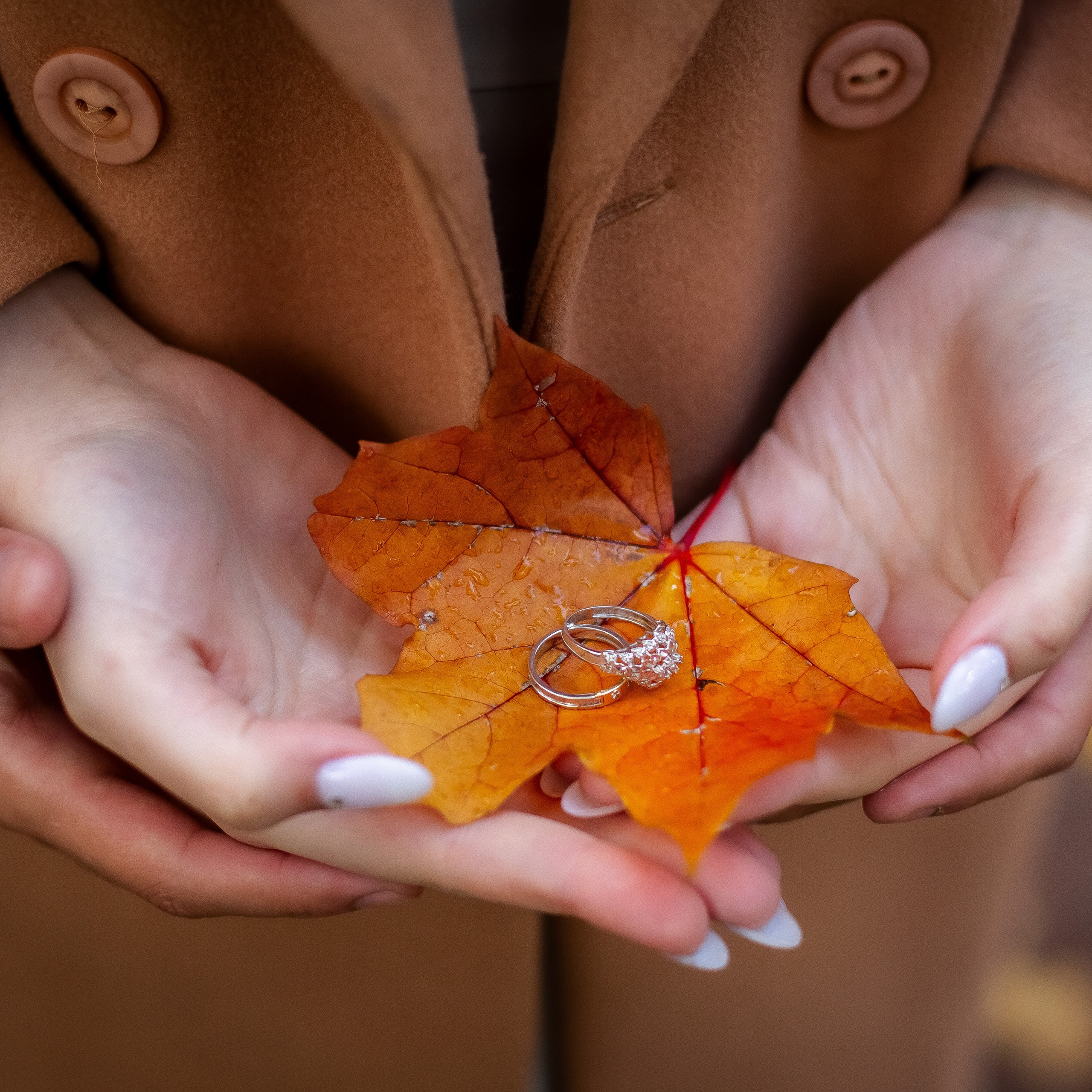 Отзывы. Репортажный, семейный, свадебный фотограф Санкт-Петербург Ольга Лесюк