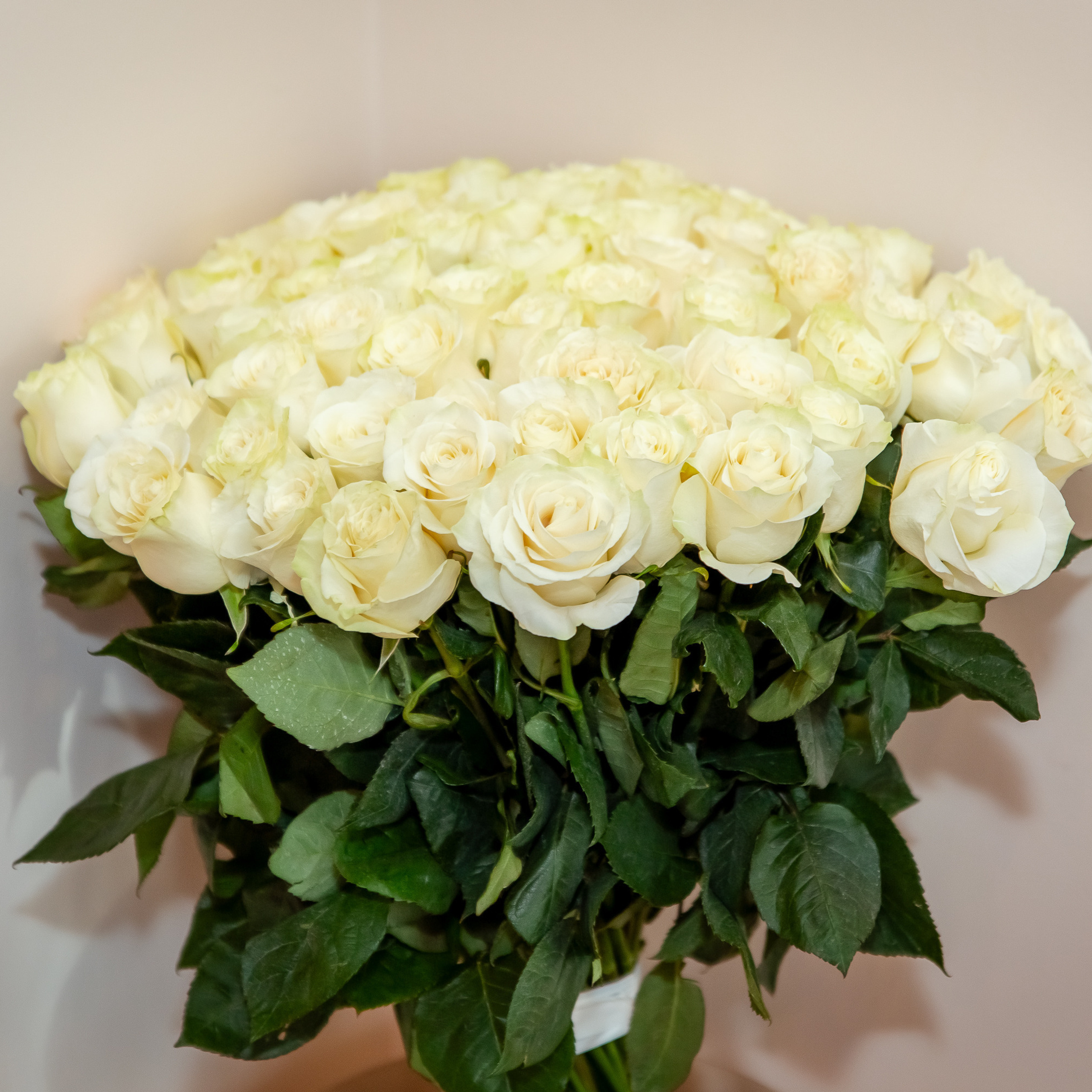 Отзывы. Репортажный, семейный, свадебный фотограф Санкт-Петербург Ольга Лесюк