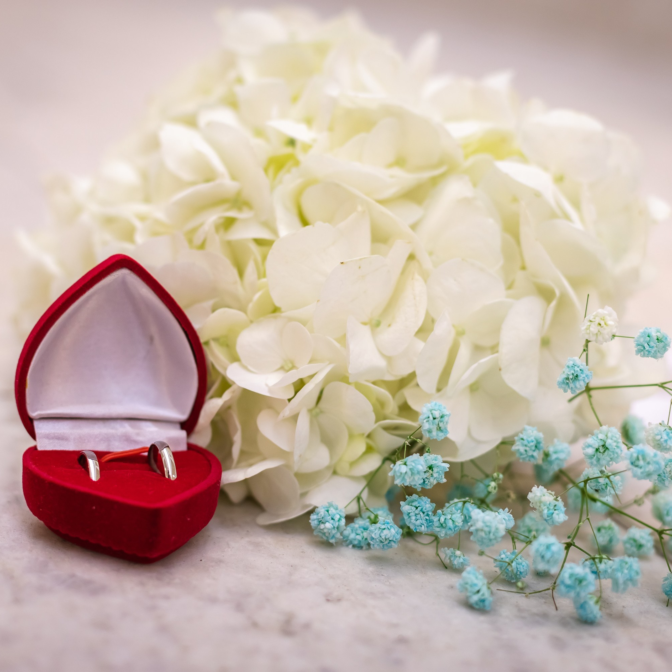 Отзывы. Репортажный, семейный, свадебный фотограф Санкт-Петербург Ольга Лесюк