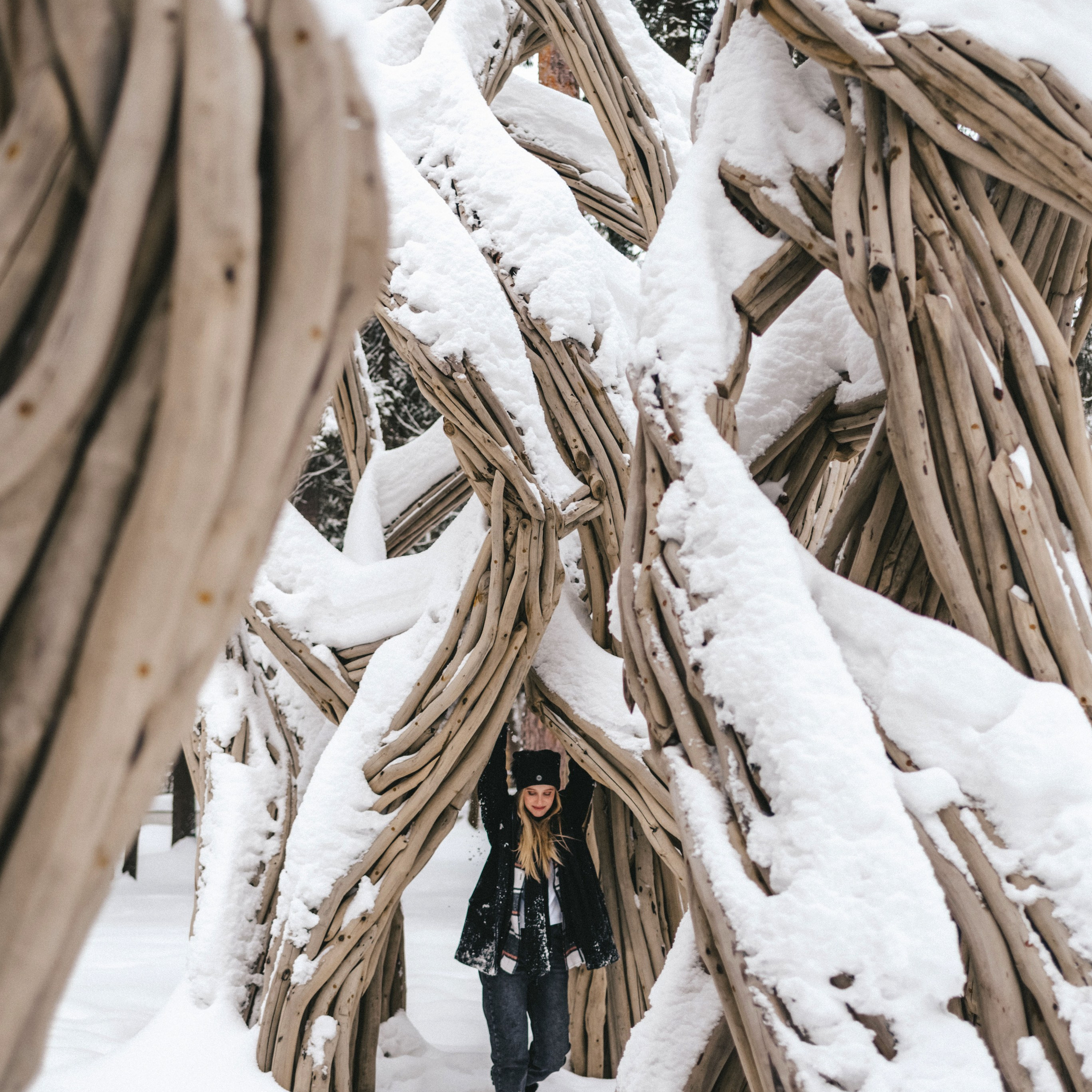 Лесная прогулка