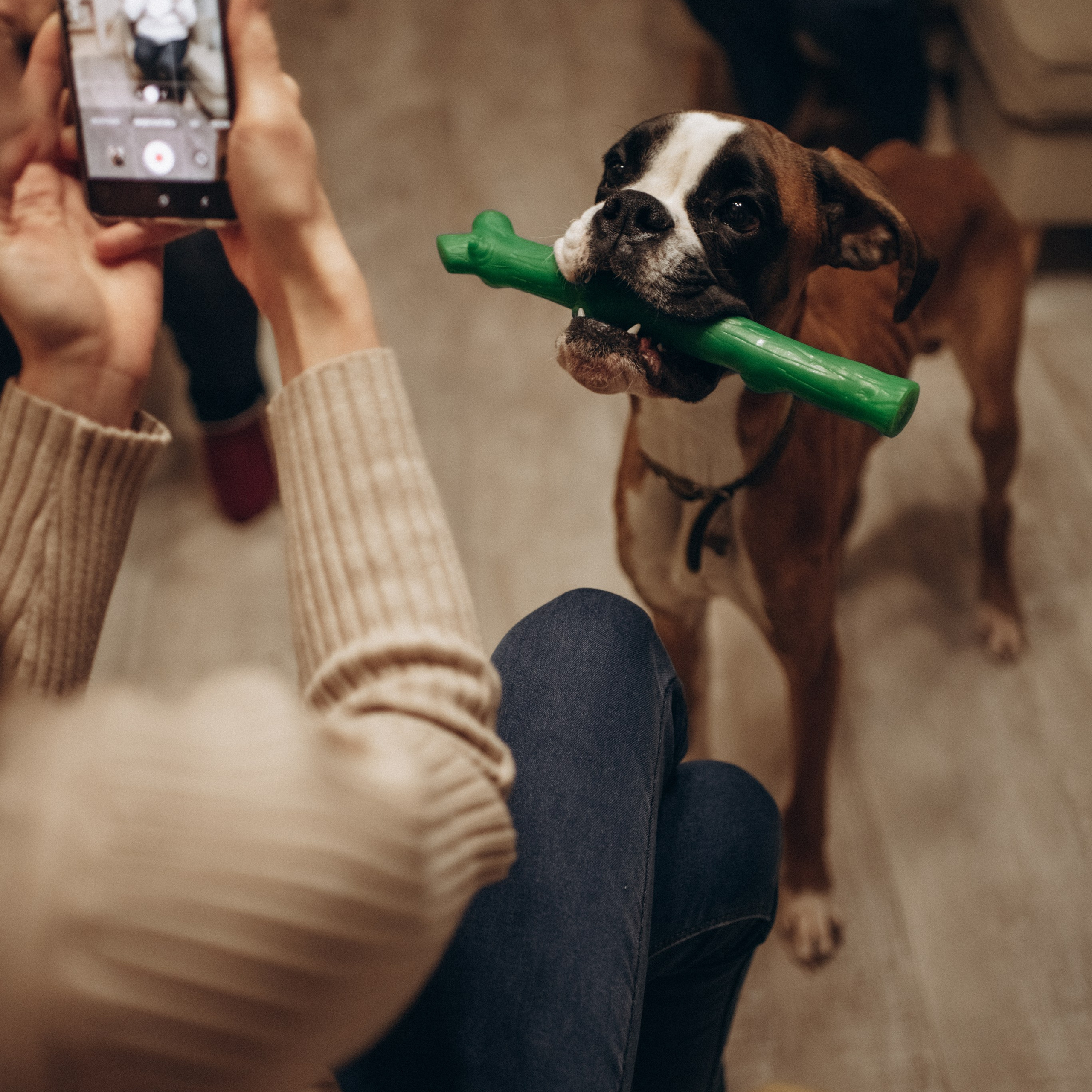 Отзывы. Семейный и детский фотограф в Москве и Подмосковье Ксения Черникова