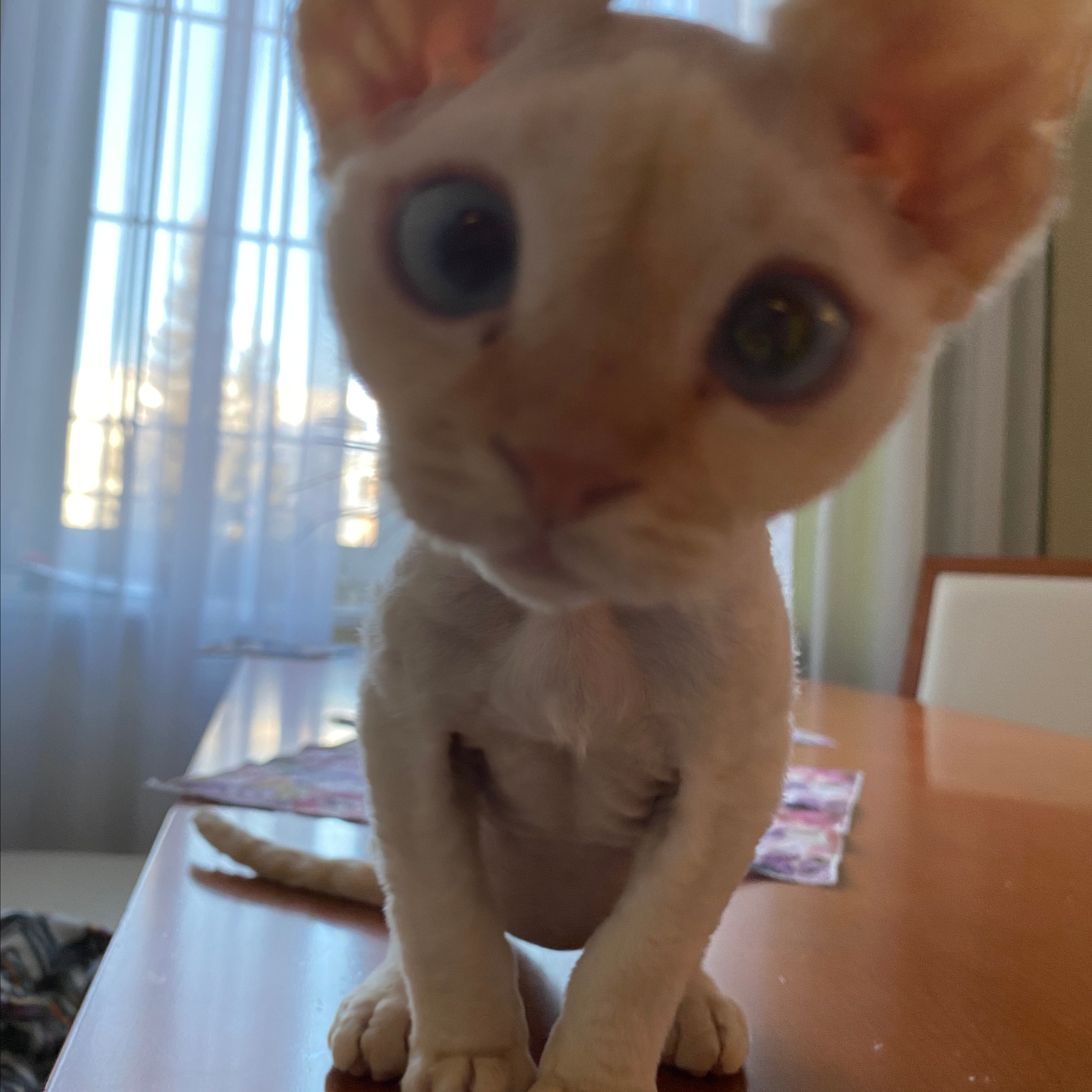 Отзывы. Семейный фотограф в Челябинске Ева Юрина