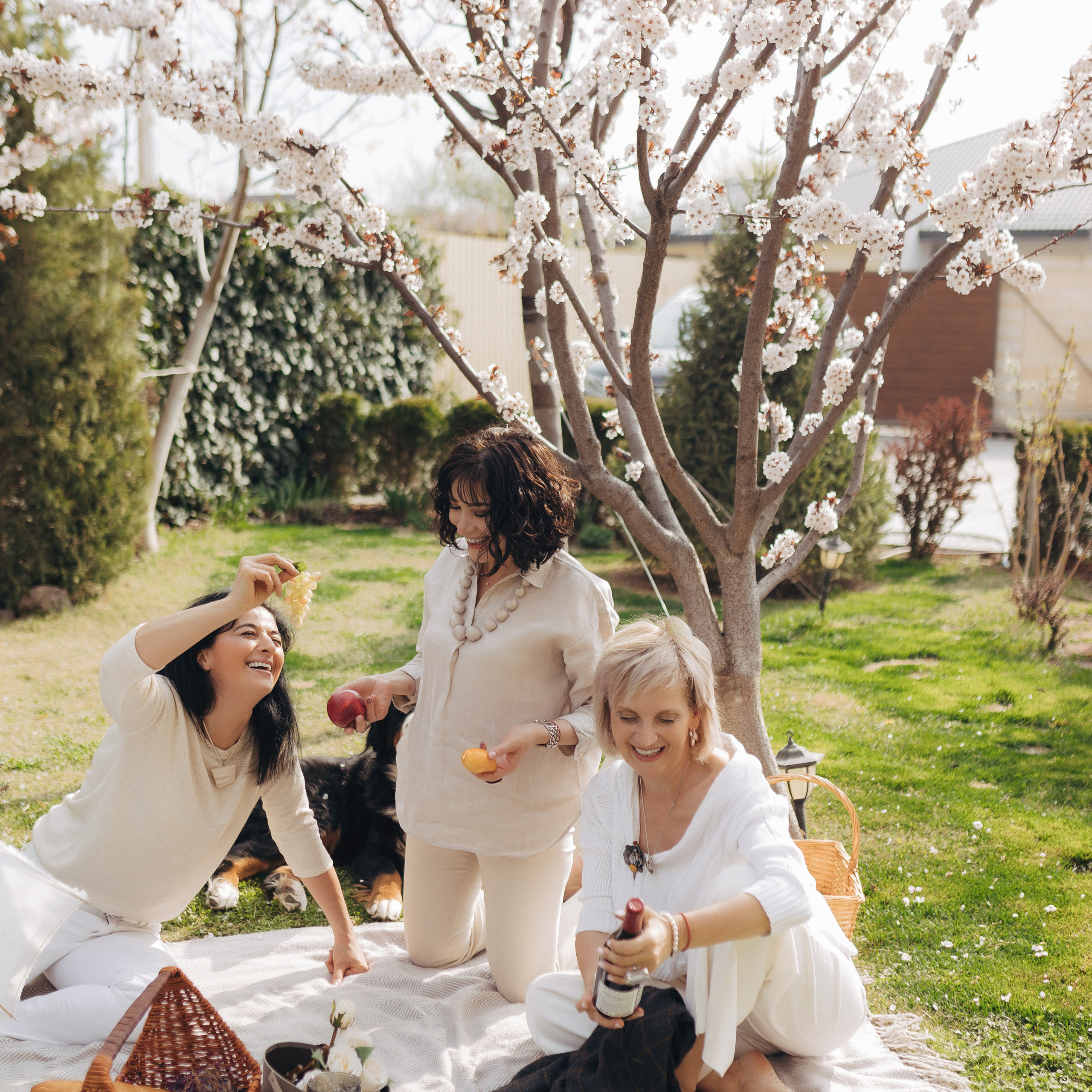 История трёх сестёр