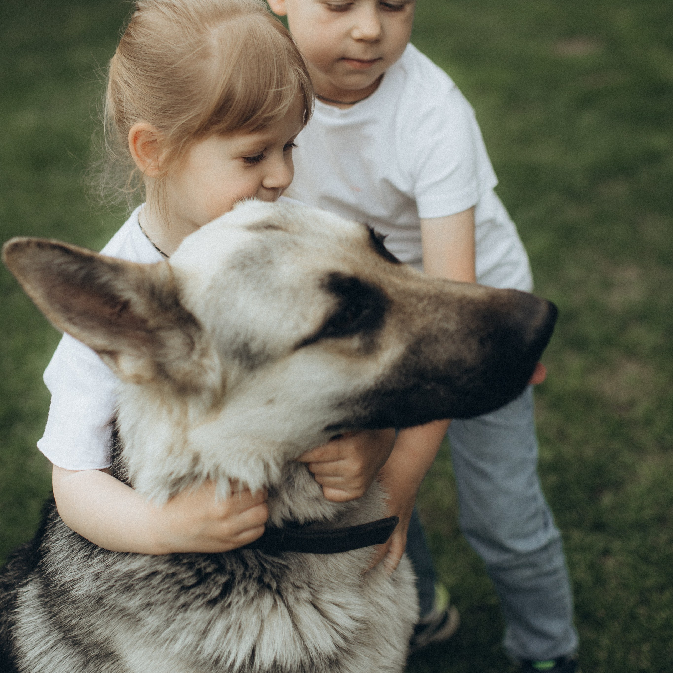 Семейная съемка. Беременность.
