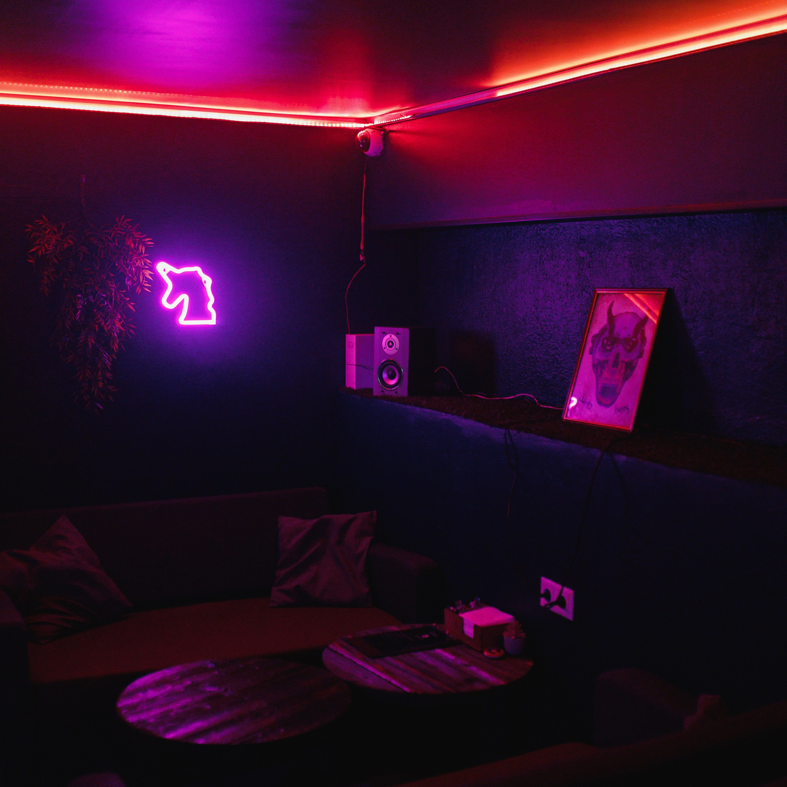 Отзывы. Фотограф в Санкт-Петербурге Милая Мила