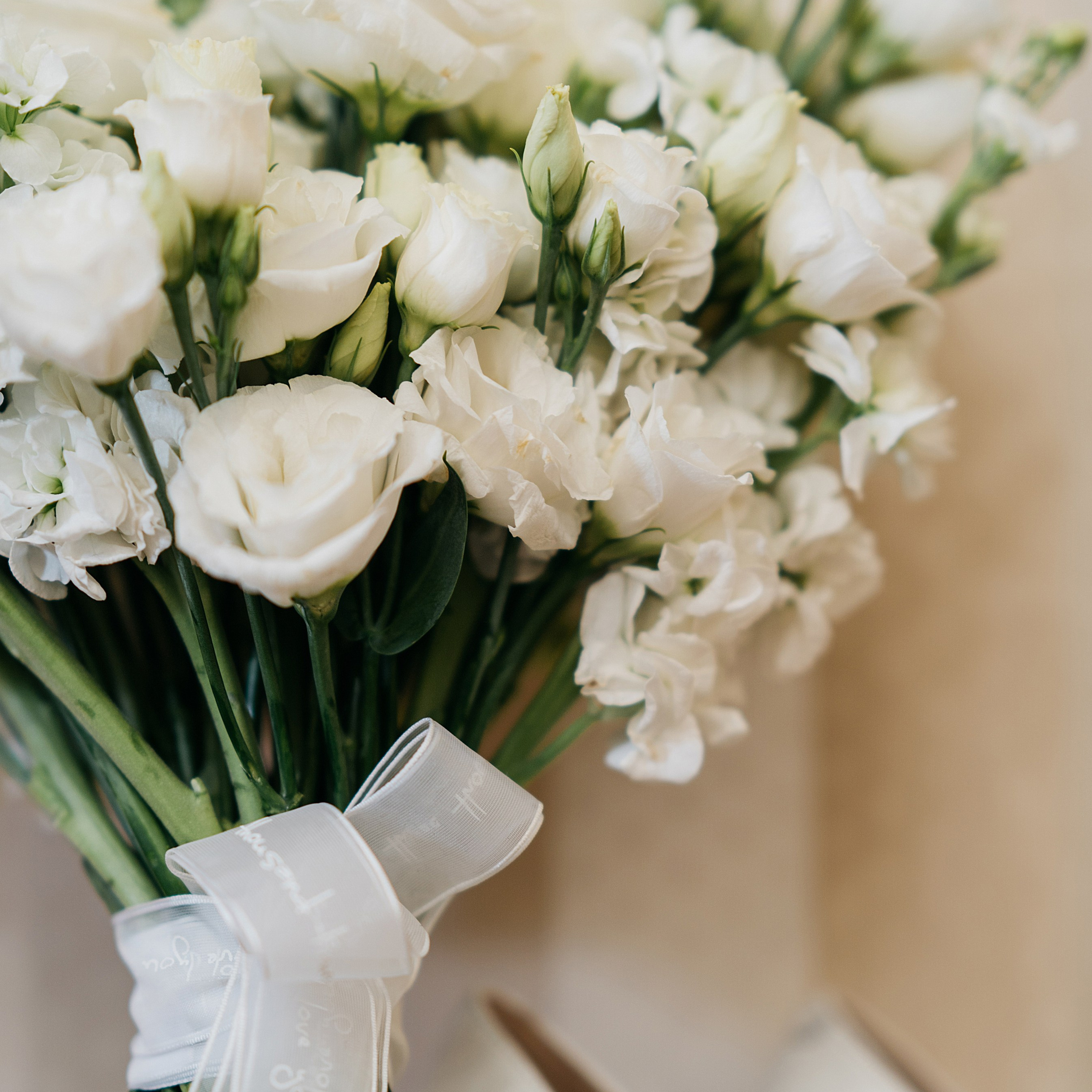 Отзывы. Свадебный фотограф