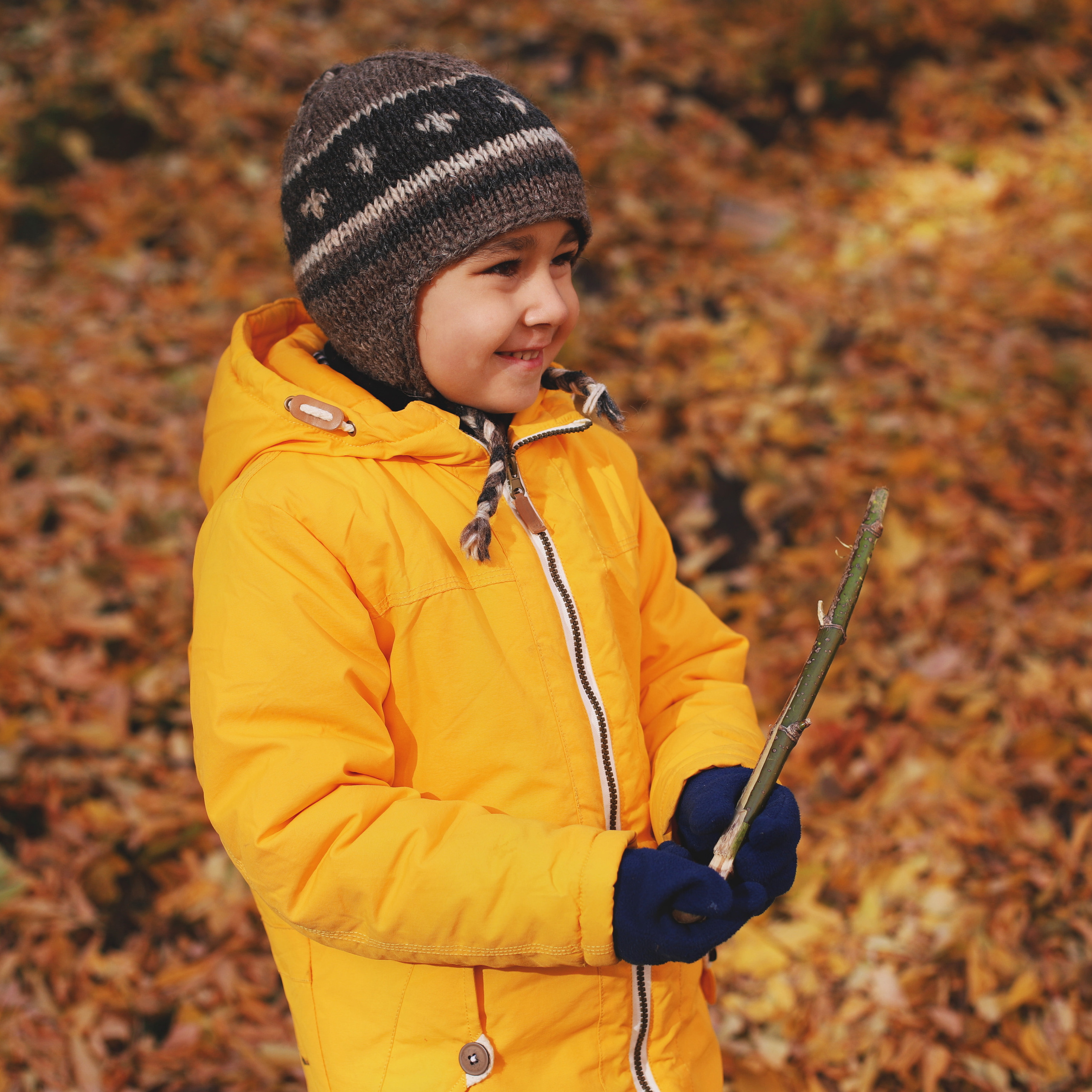 Желтая осень