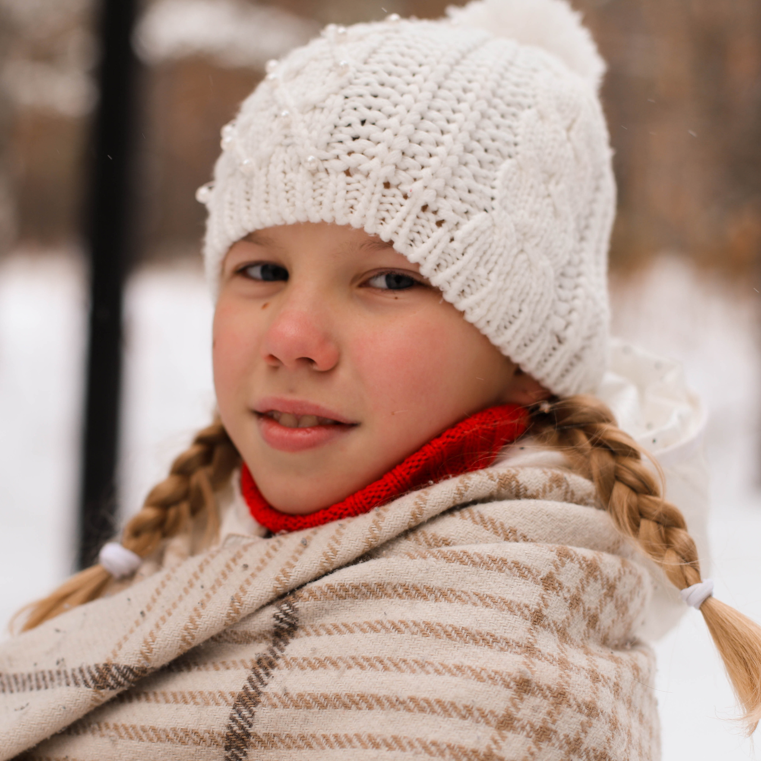 В сосновом лесу