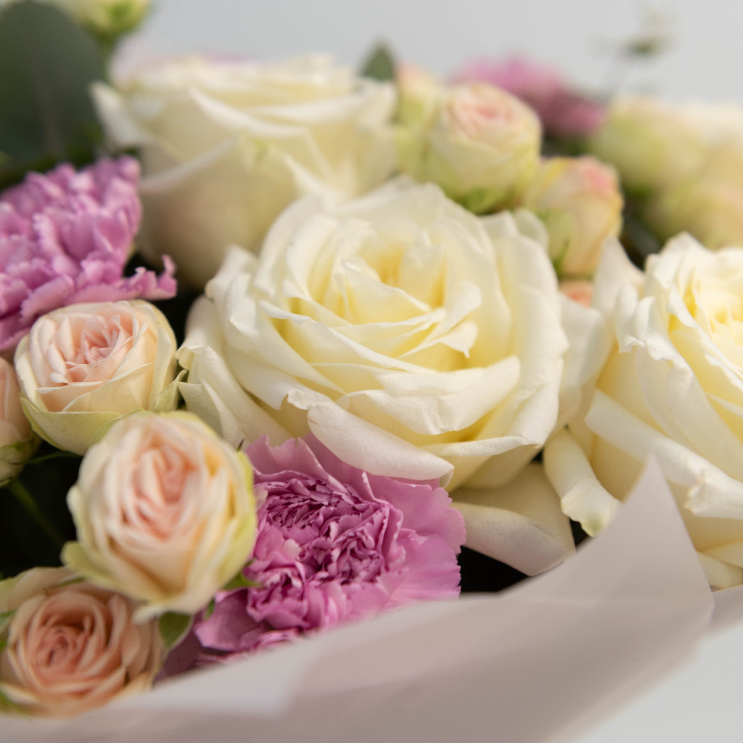 Отзывы. Дарья Жохова|портретный фотограф|Томск