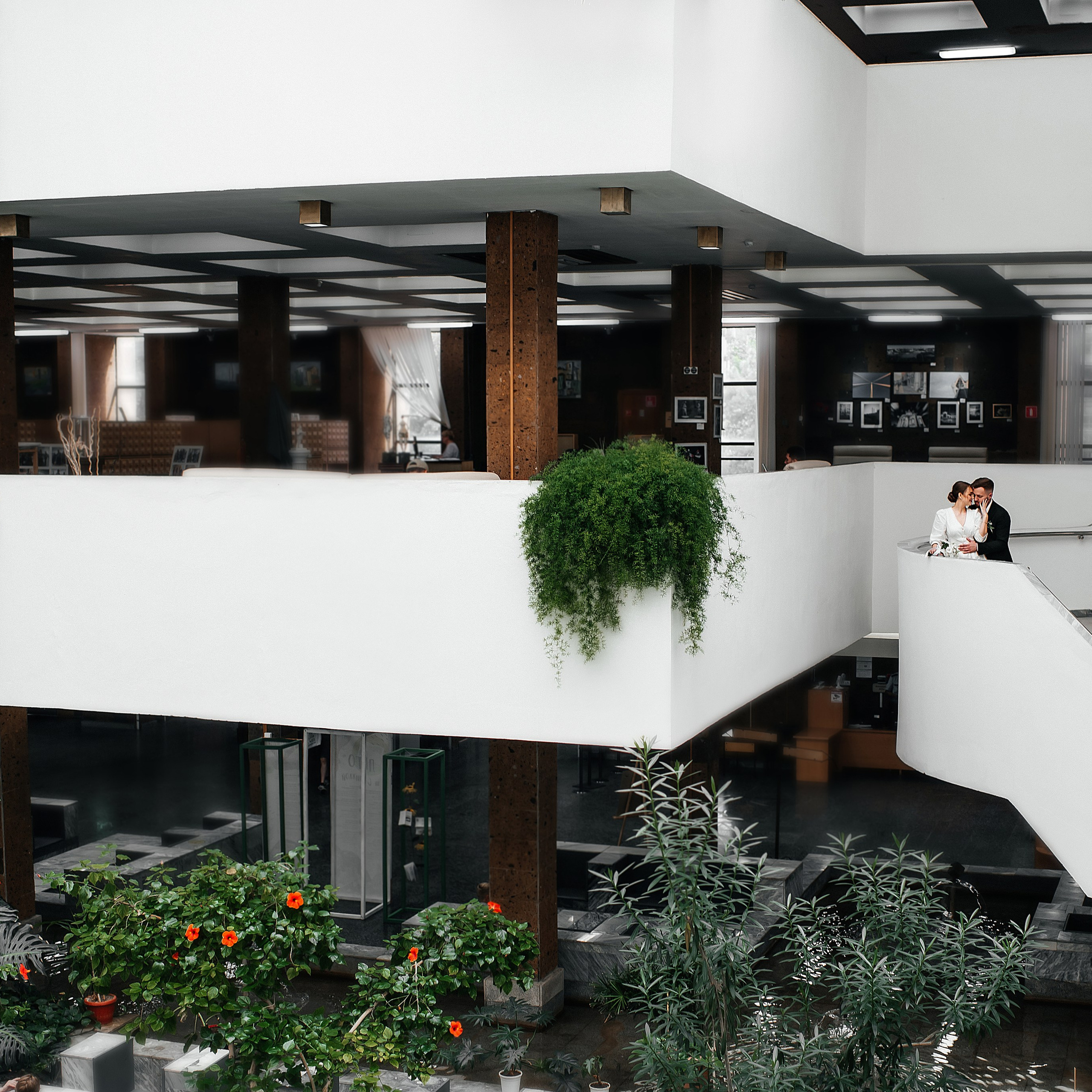 Библиотека