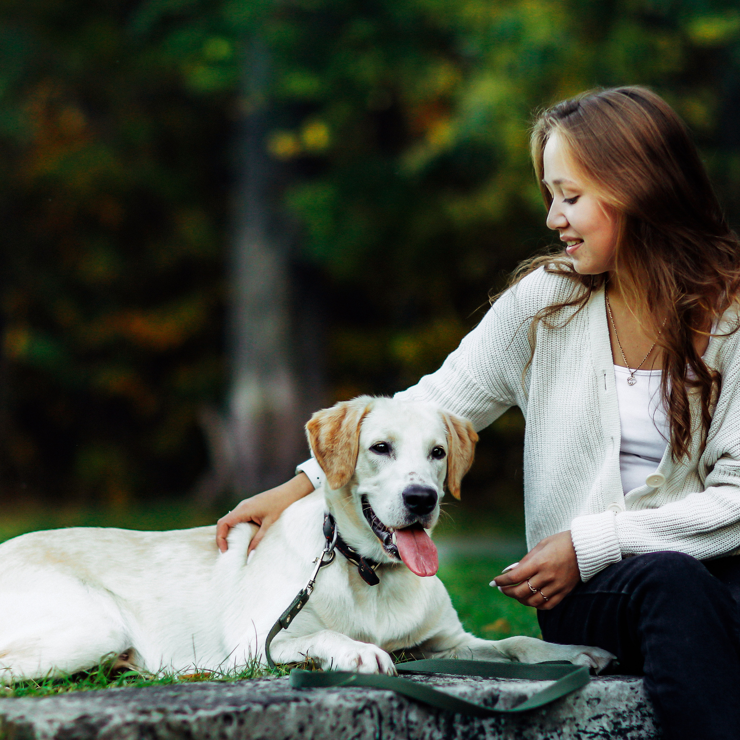 Фотографии с четвероногими друзьями