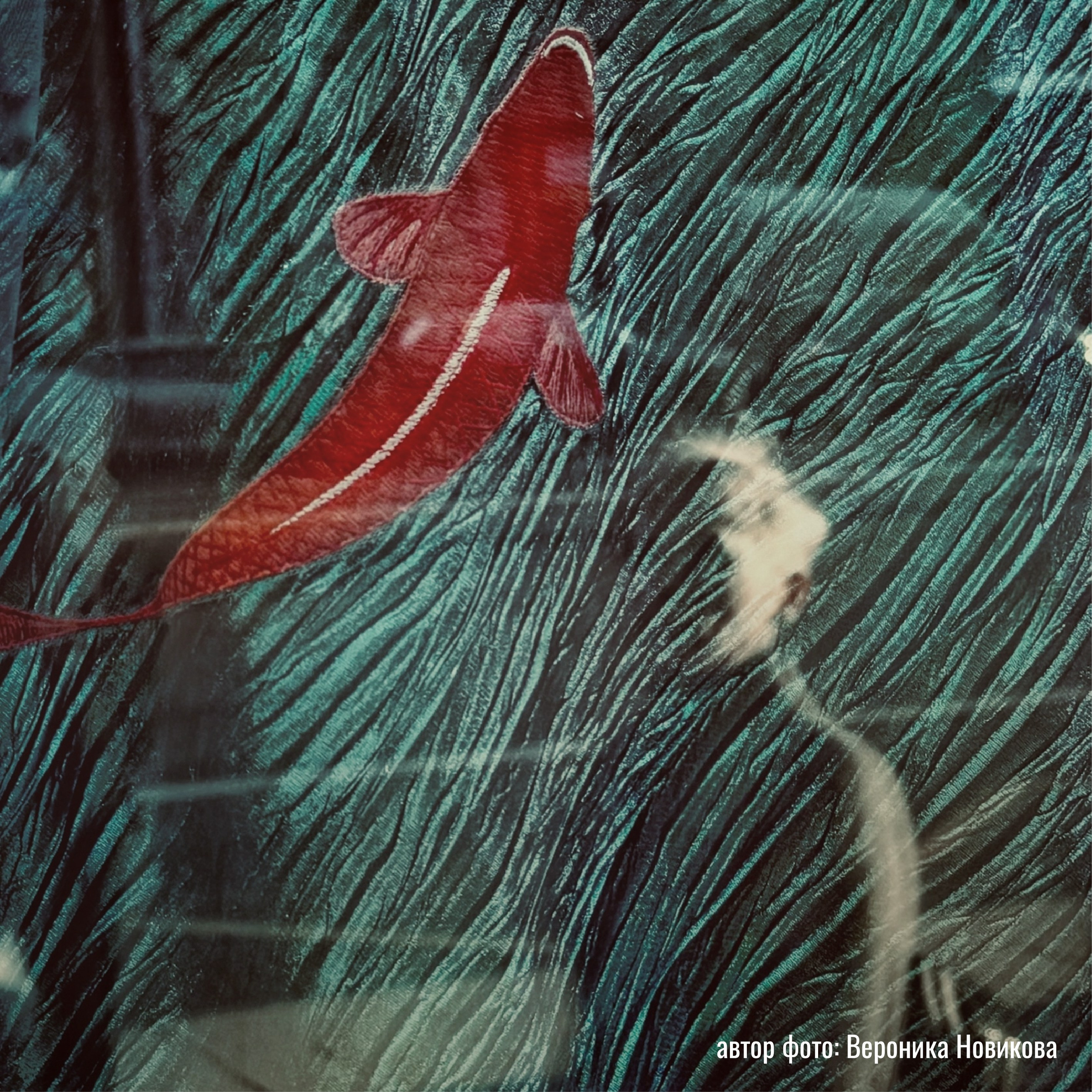 Выставки фотографий участников клуба «ПРОСТРАНСТВО» | Марусина Мастерская