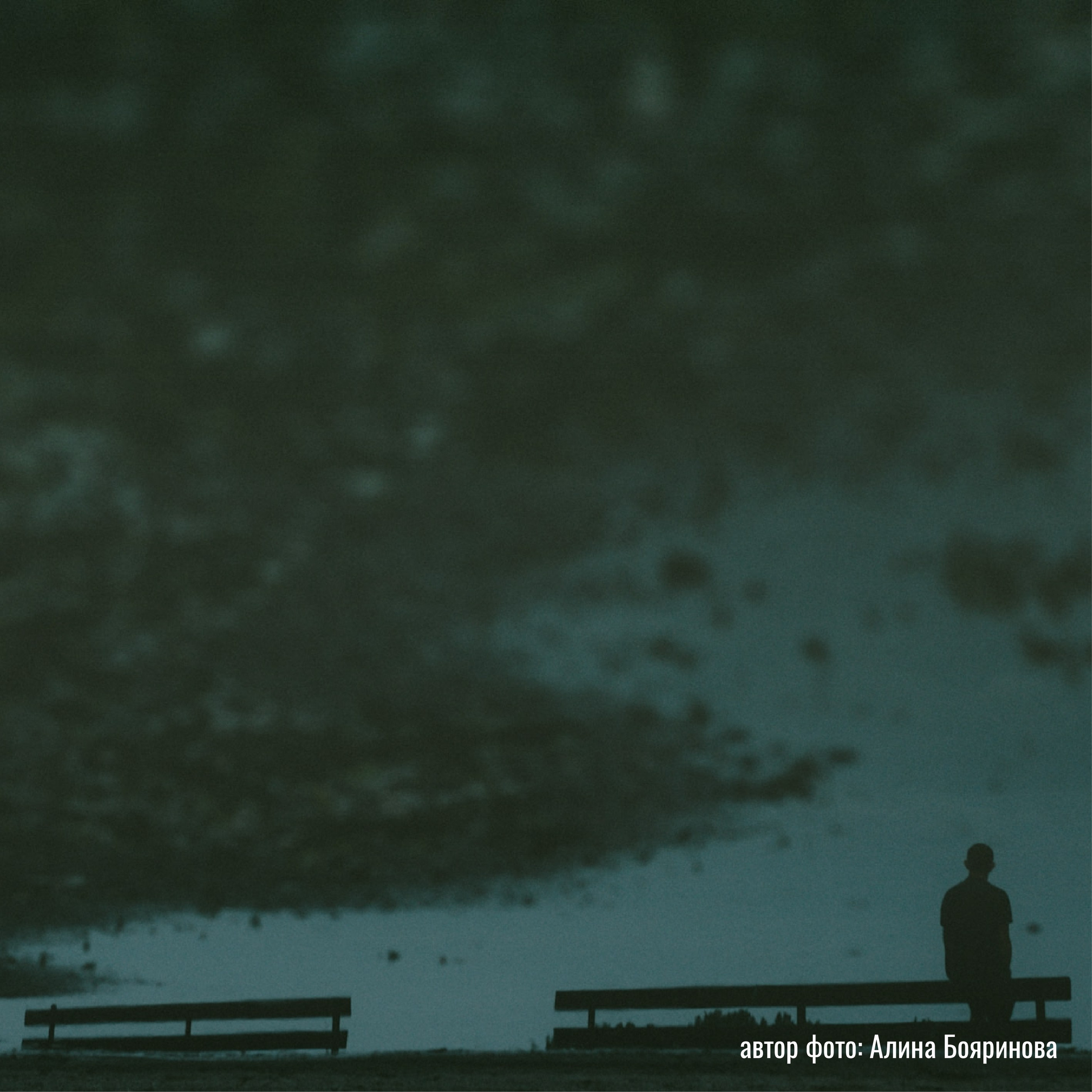 Выставки фотографий участников клуба «ПРОСТРАНСТВО» | Марусина Мастерская