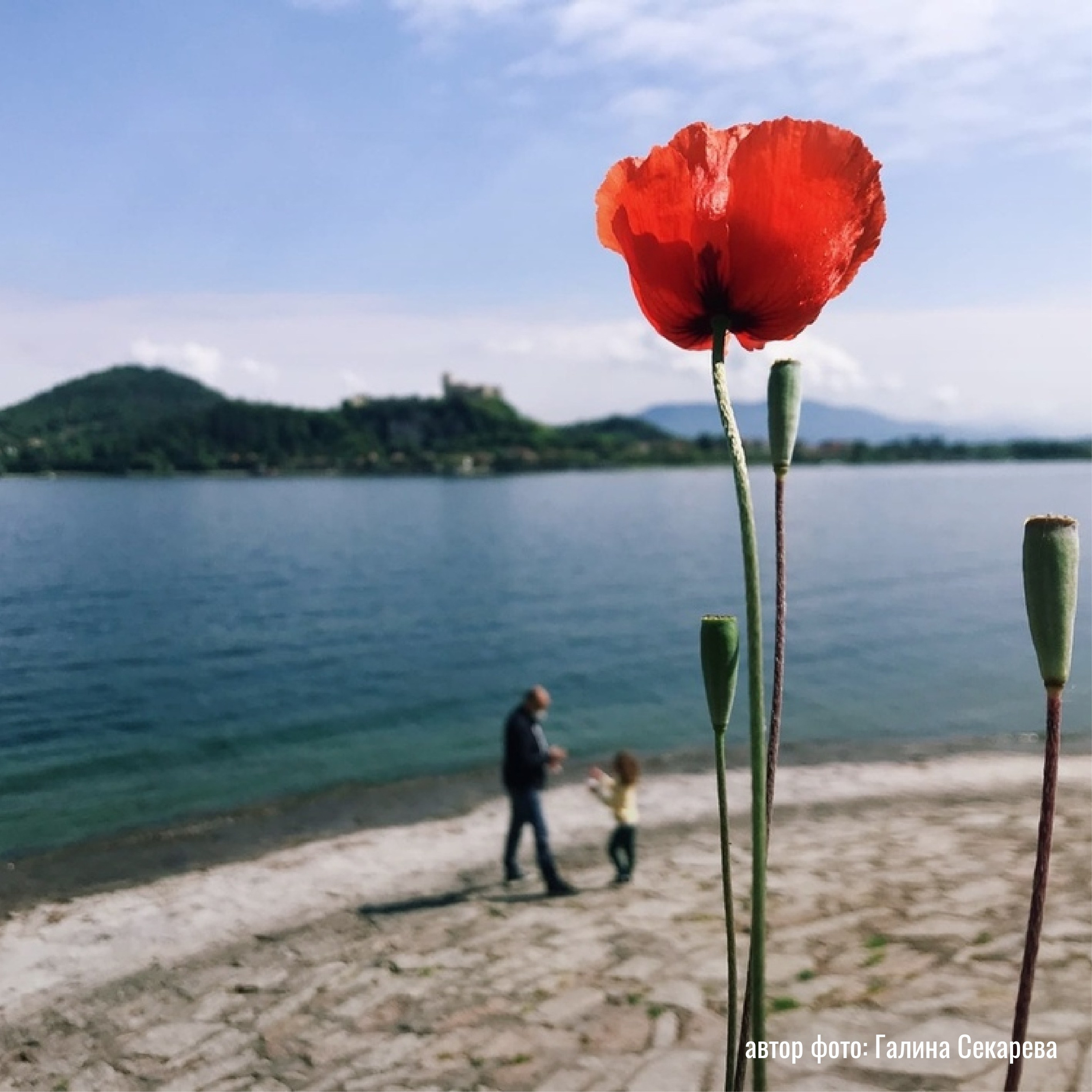 Выставка фотографий практикума «Кинокадр» — визуальный язык кино в работах студентов