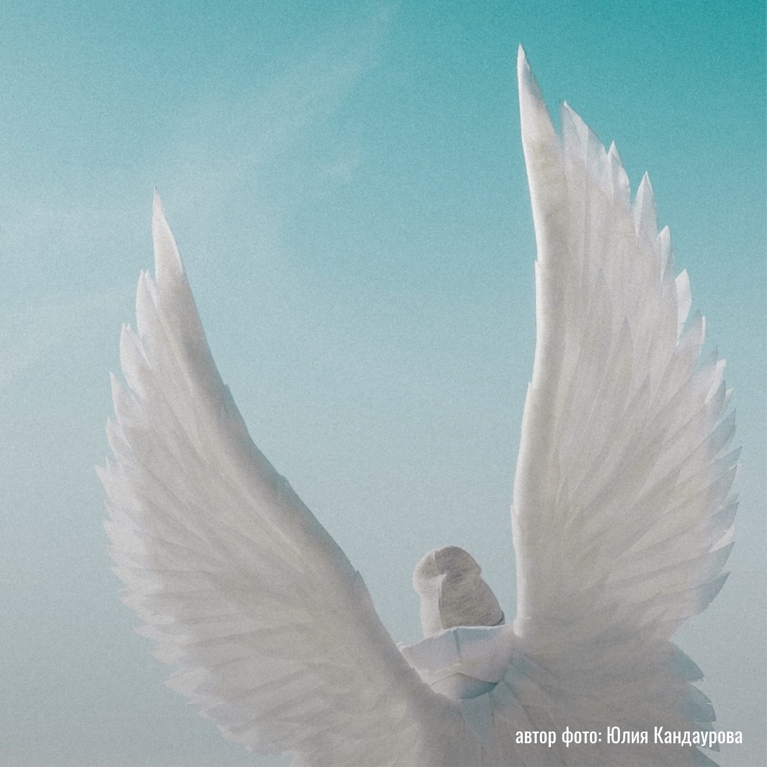 Выставки фотографий участников клуба «ПРОСТРАНСТВО» | Марусина Мастерская