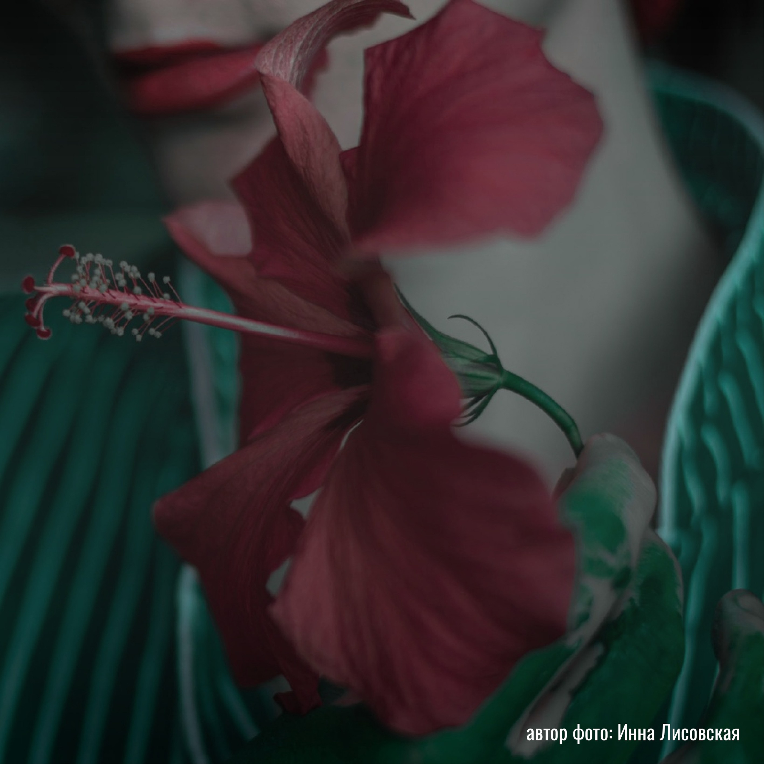 Выставки фотографий участников клуба «ПРОСТРАНСТВО» | Марусина Мастерская