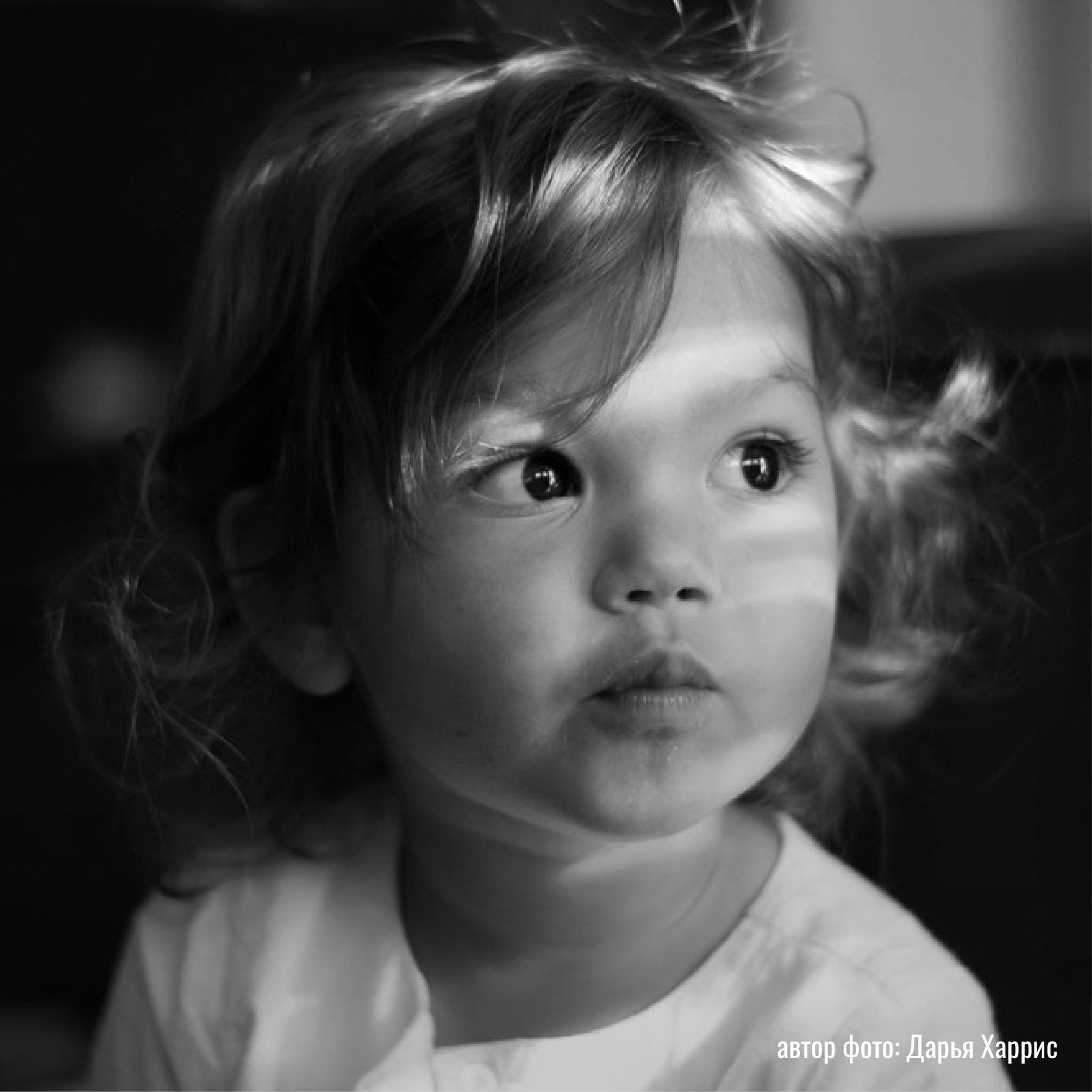 Выставка фотографий практикума «Фотография с нуля» | Марусина мастерская