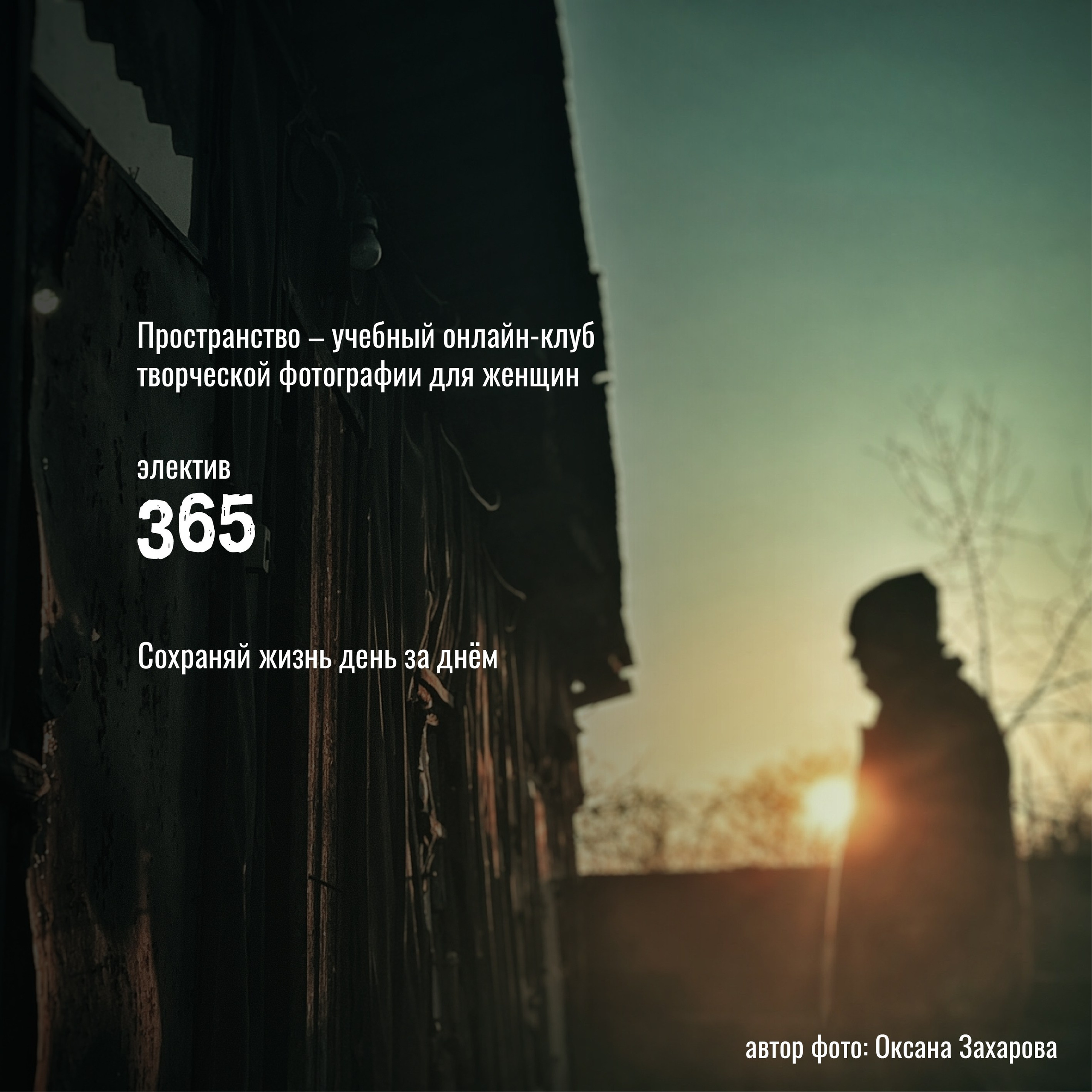 365