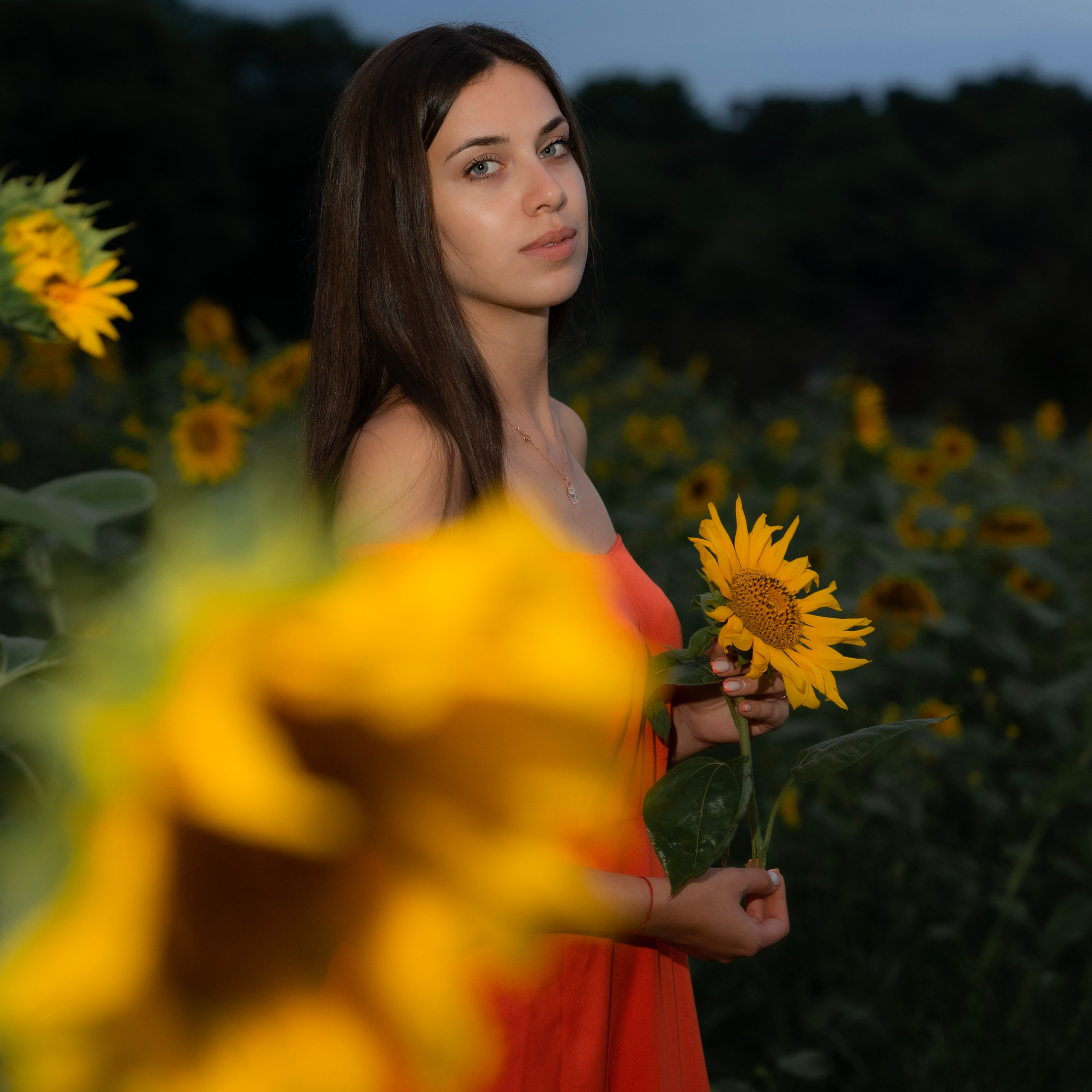 В подсолнухах