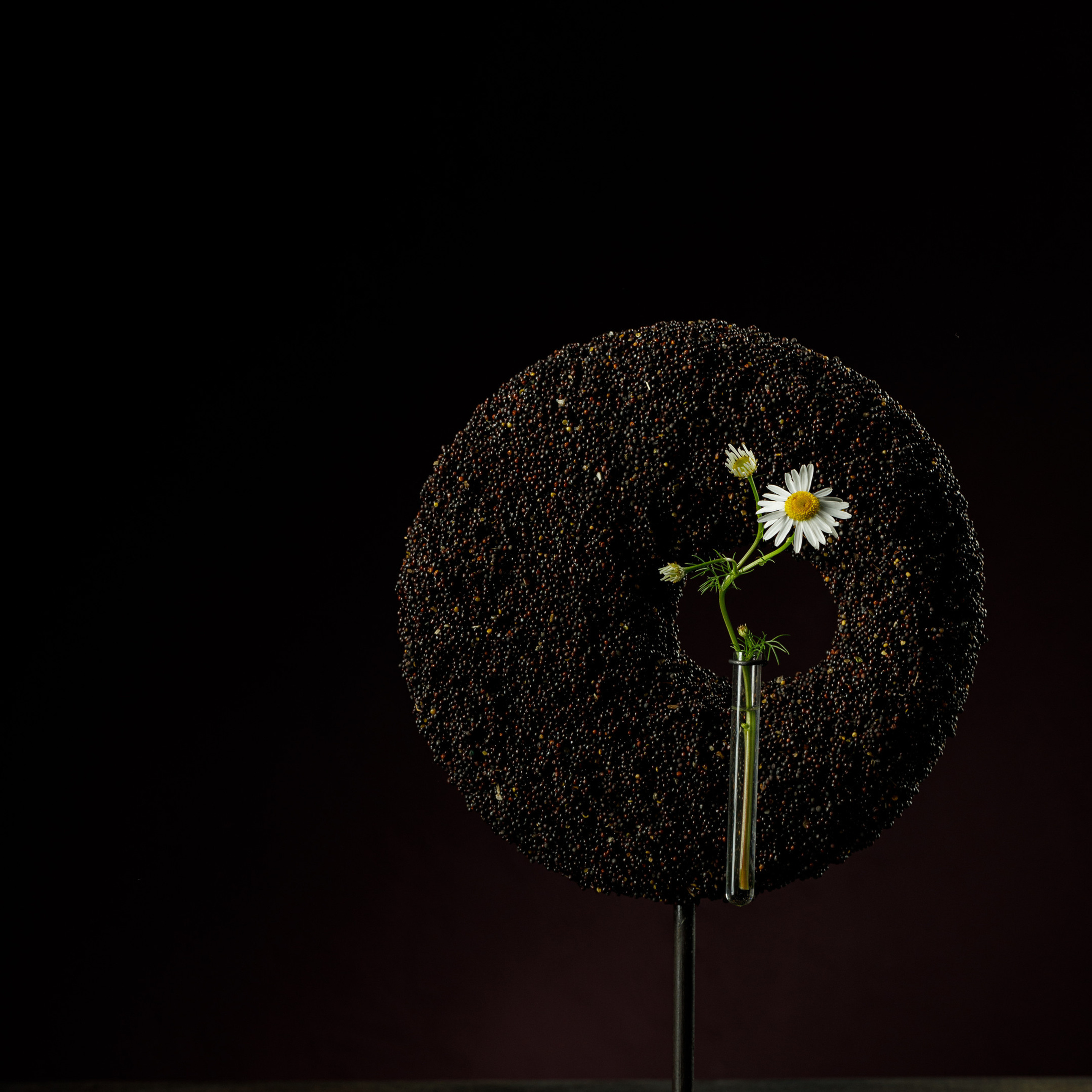 Отзывы. Фотограф Сергей Сорокин — классический портрет и НЮ в Саратове