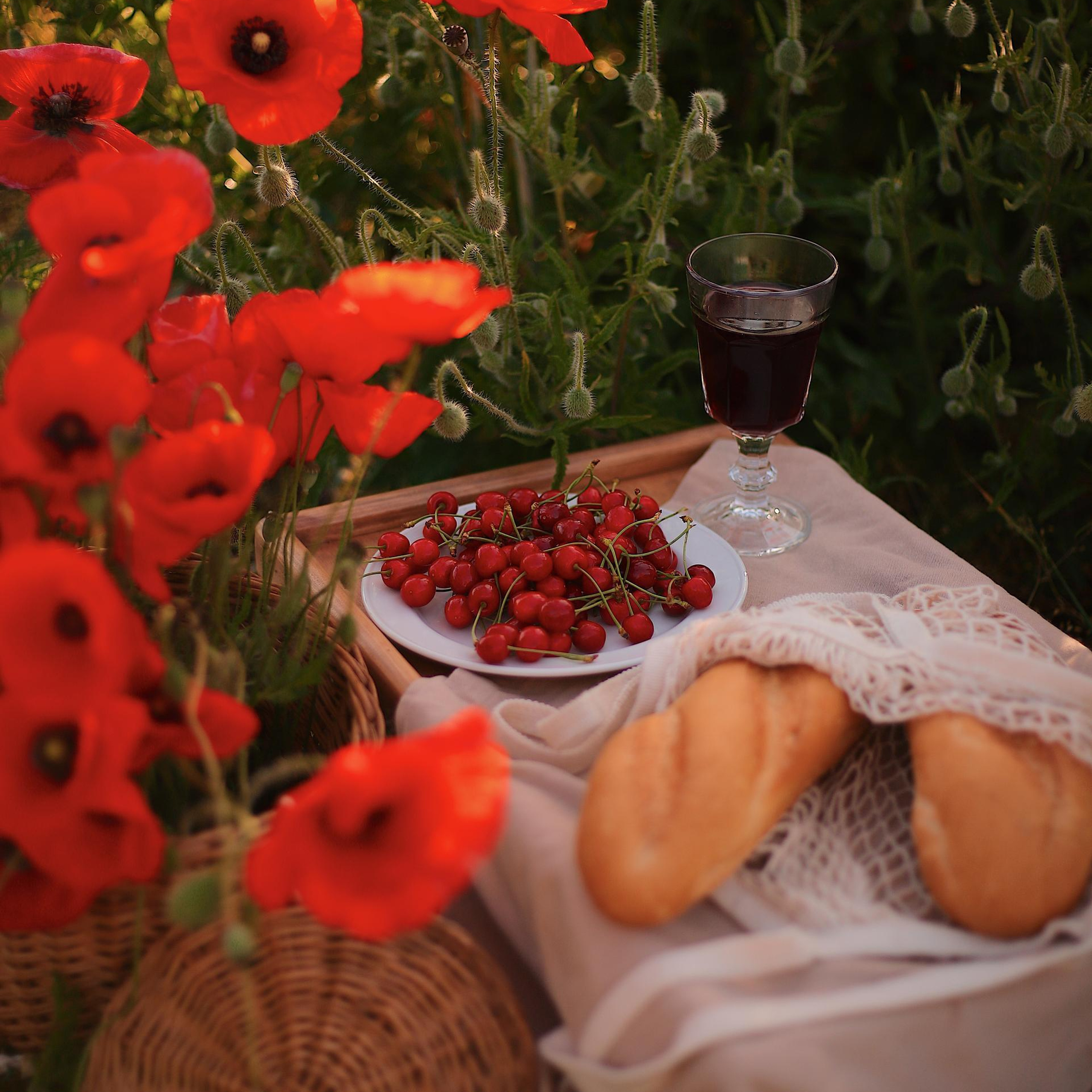 Отзывы. Фотограф Анапа Семейные и Индивидуальные проекты