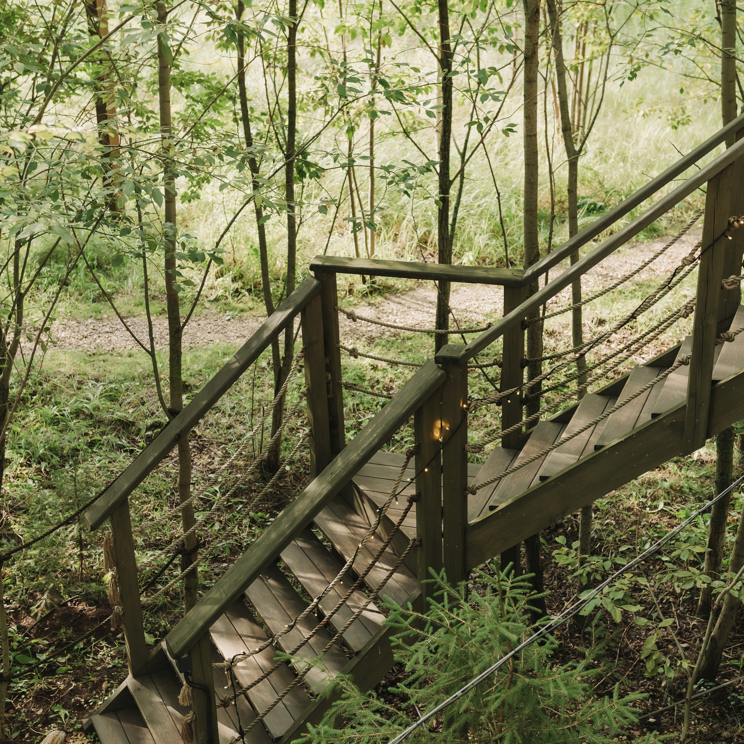 Отзывы. Свадебный и семейный фотограф в Тульской области Пашкова Екатерина