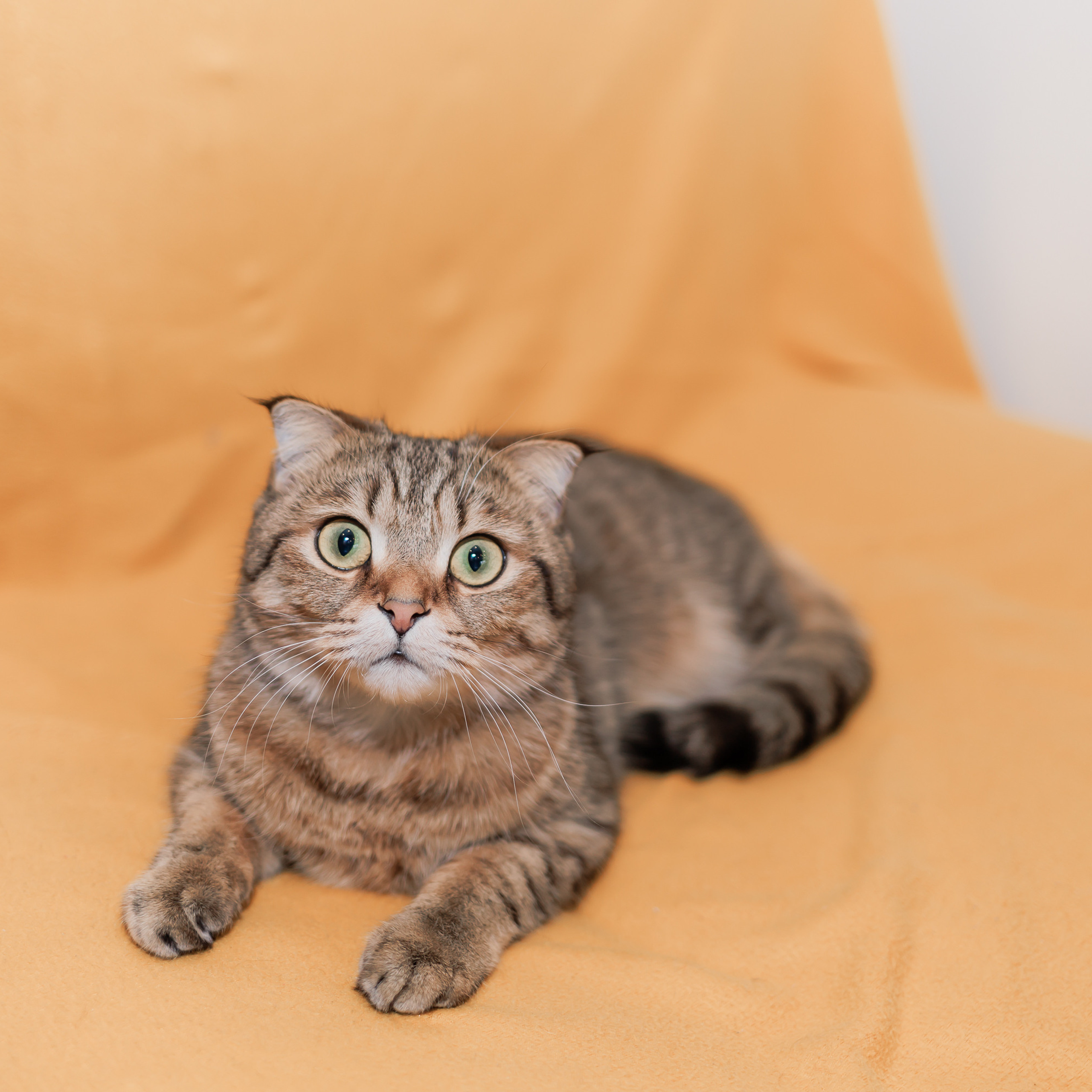 Отзывы. Фотограф Хабаровск