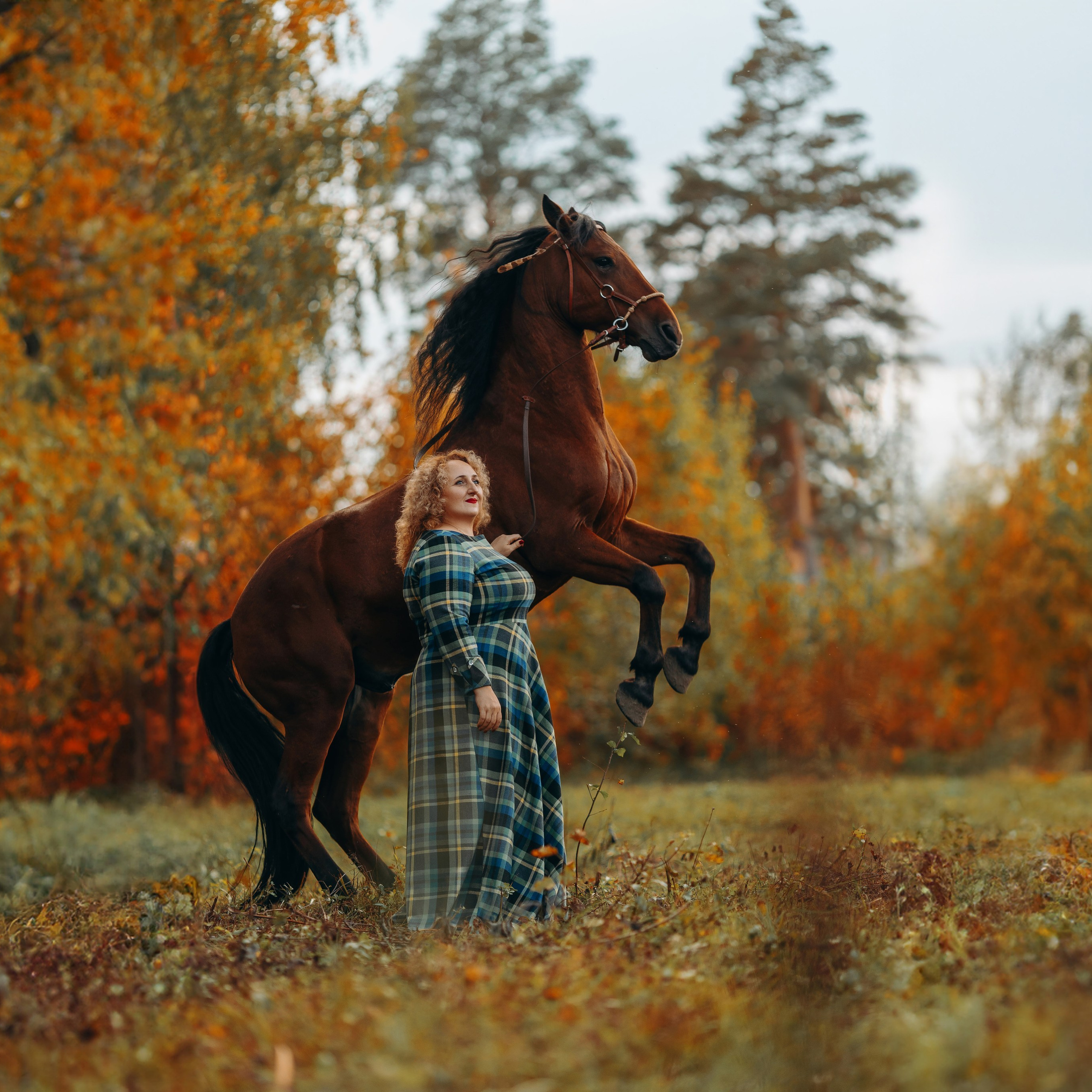 Отзывы. Анна Молчанова конный фотограф в Тюмени | фотосессии с лошадьми Тюмень