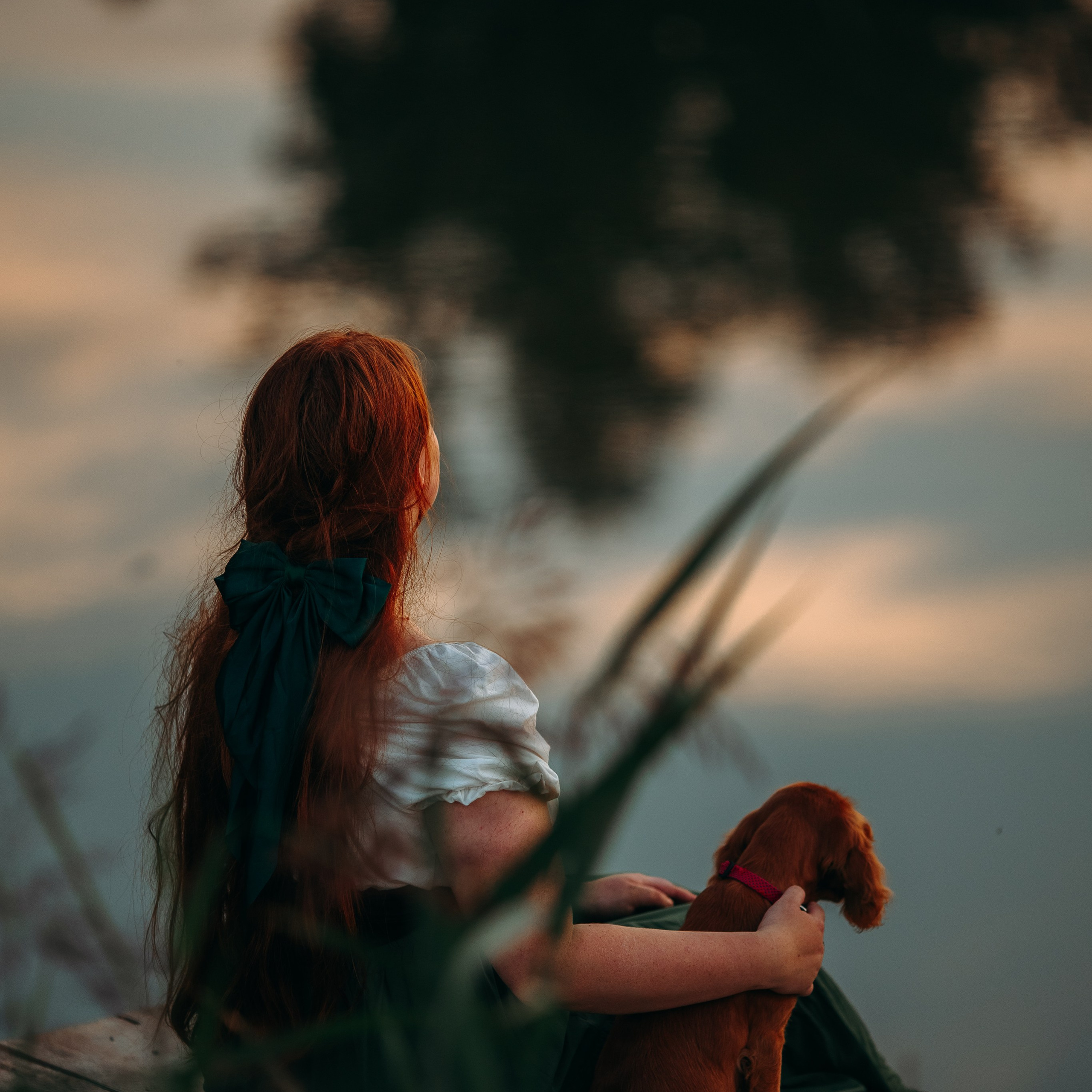 С питомцами ♡