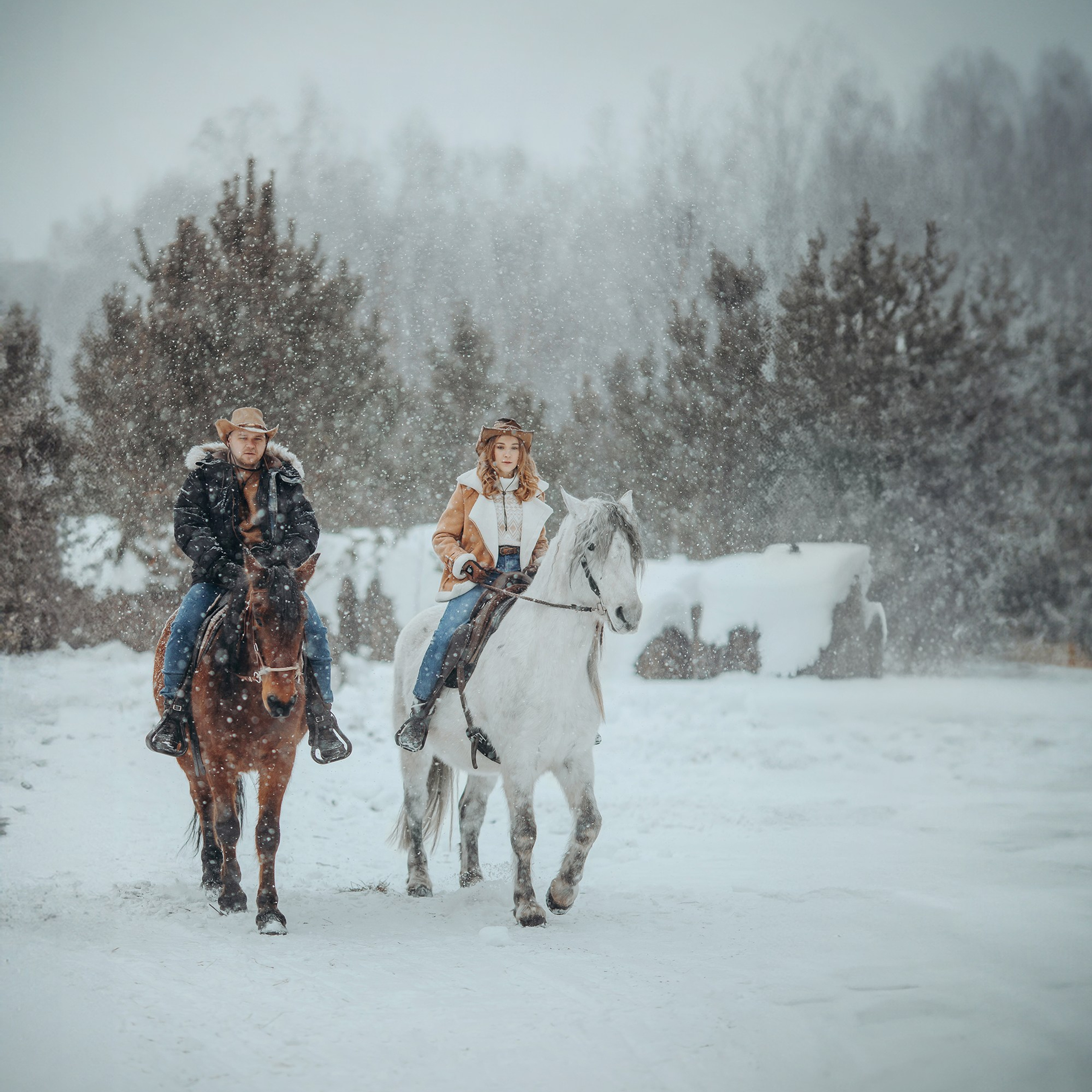 Снежная история