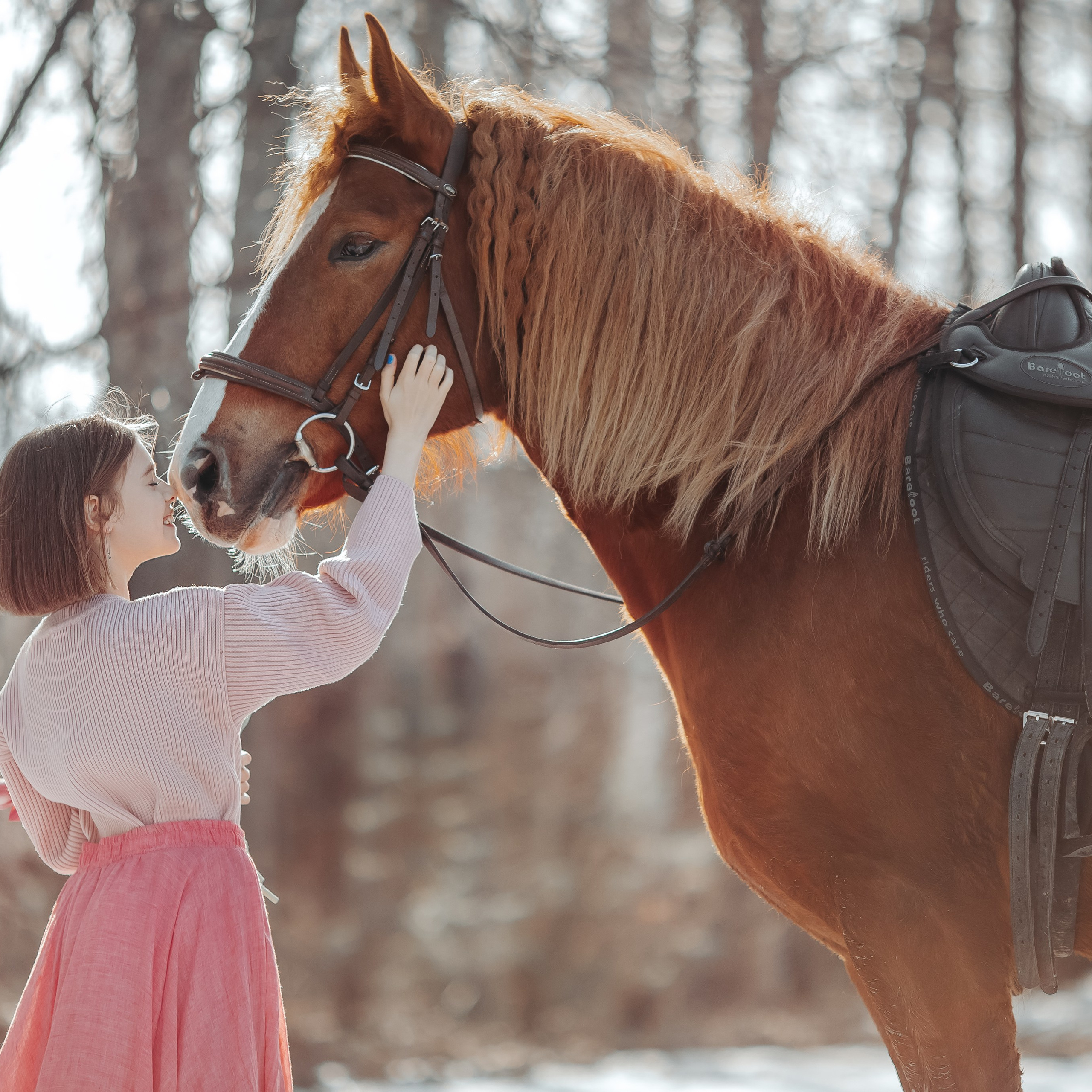 Отзывы. Анна Молчанова конный фотограф в Тюмени | фотосессии с лошадьми Тюмень