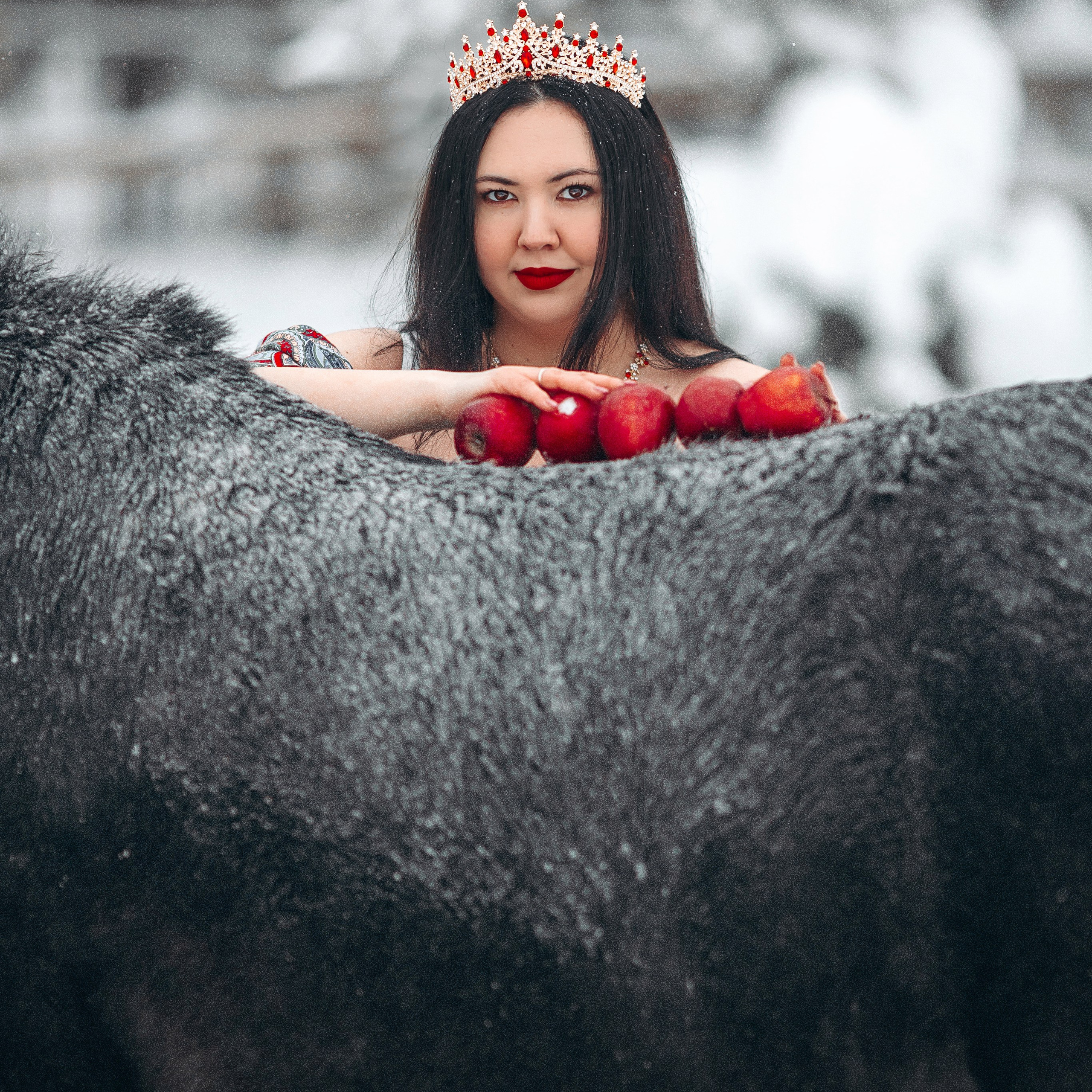 Яблоки на снегу