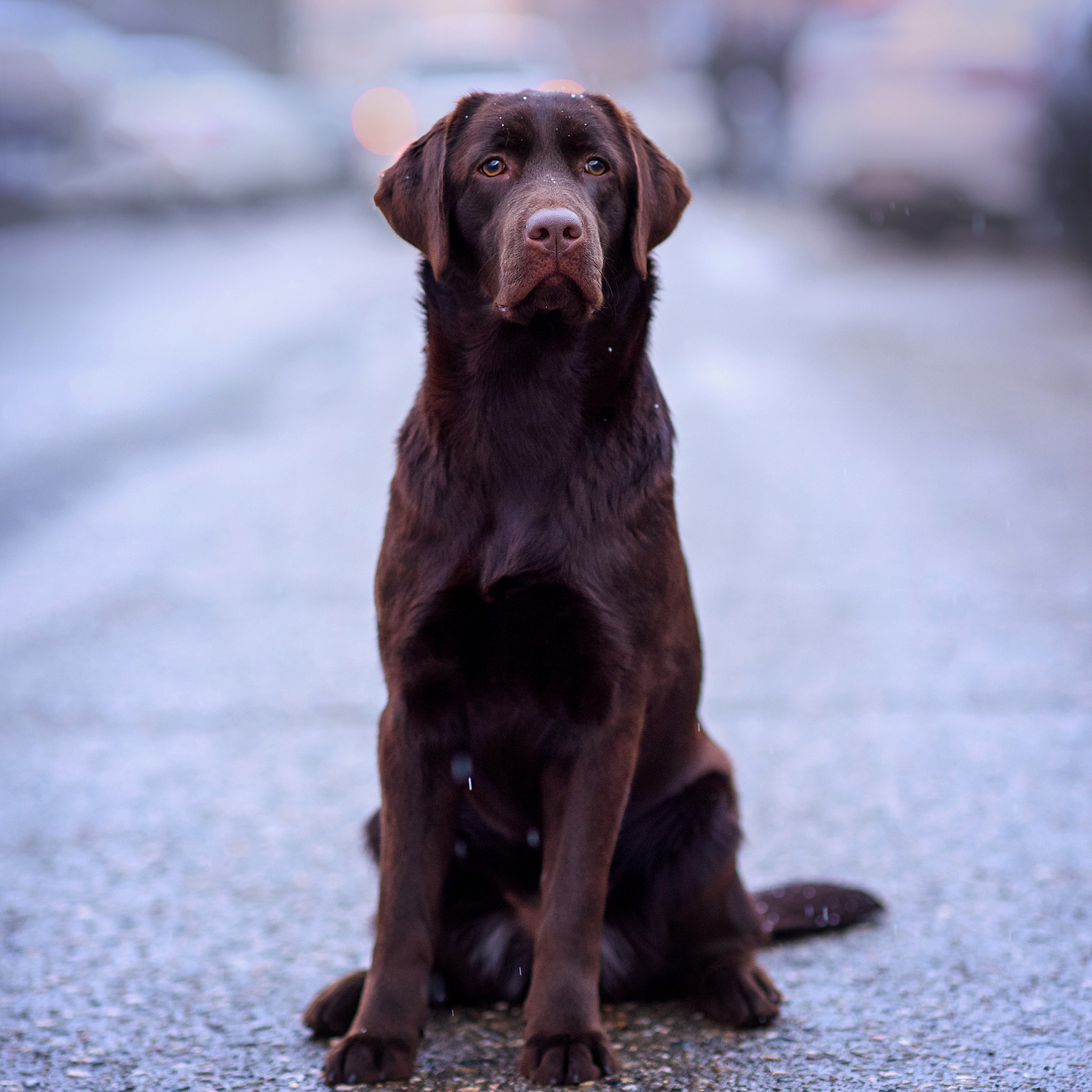 Отзывы. Семейный фотограф в Минске Виктория Дубровская