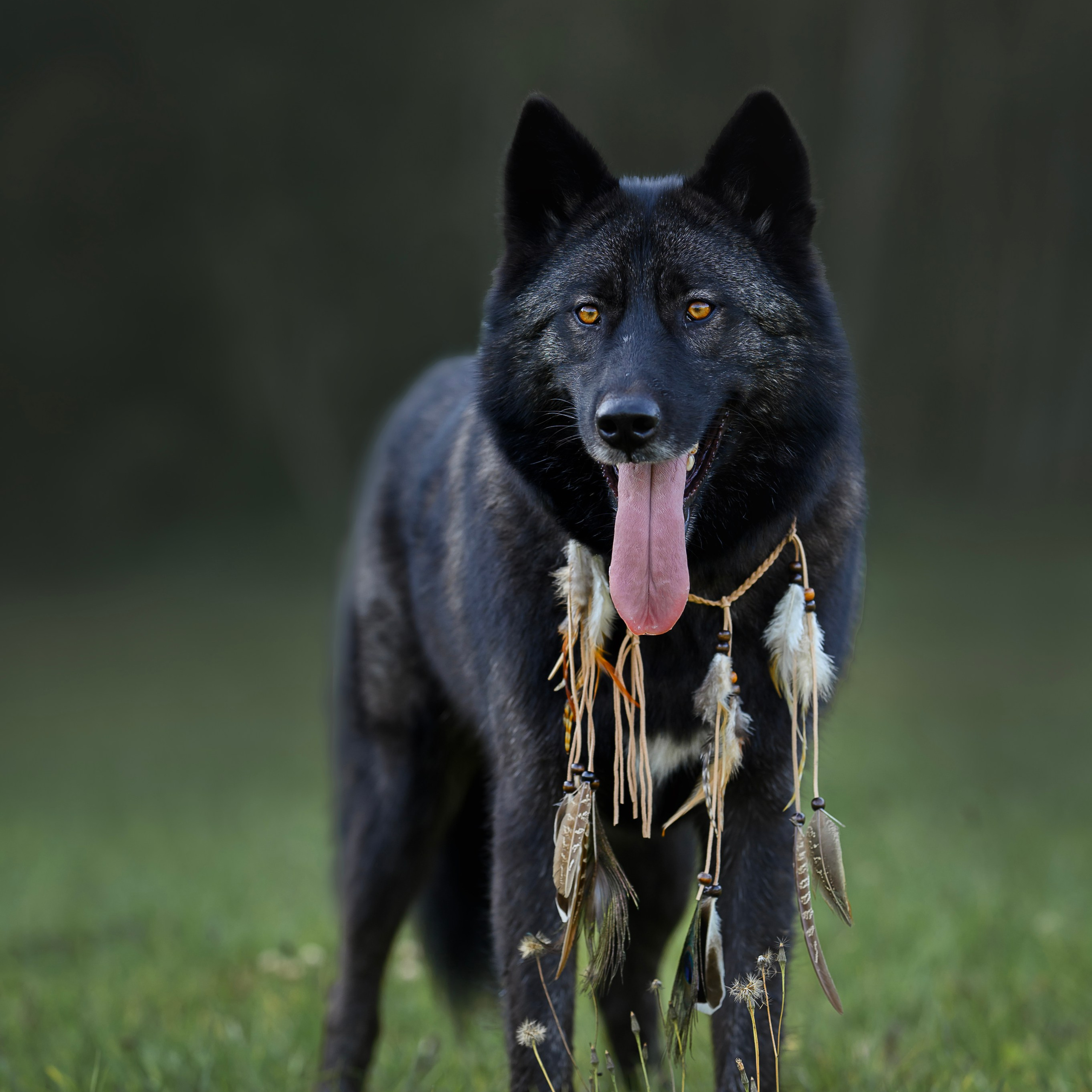 Отзывы. Семейный фотограф в Минске Виктория Дубровская