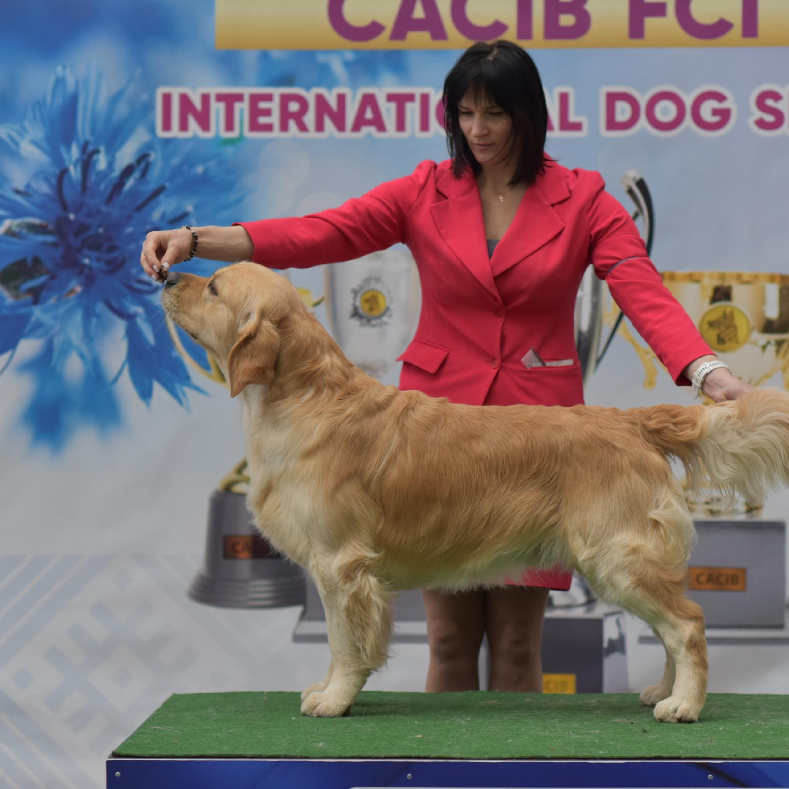 Отзывы. Семейный фотограф в Минске Виктория Дубровская