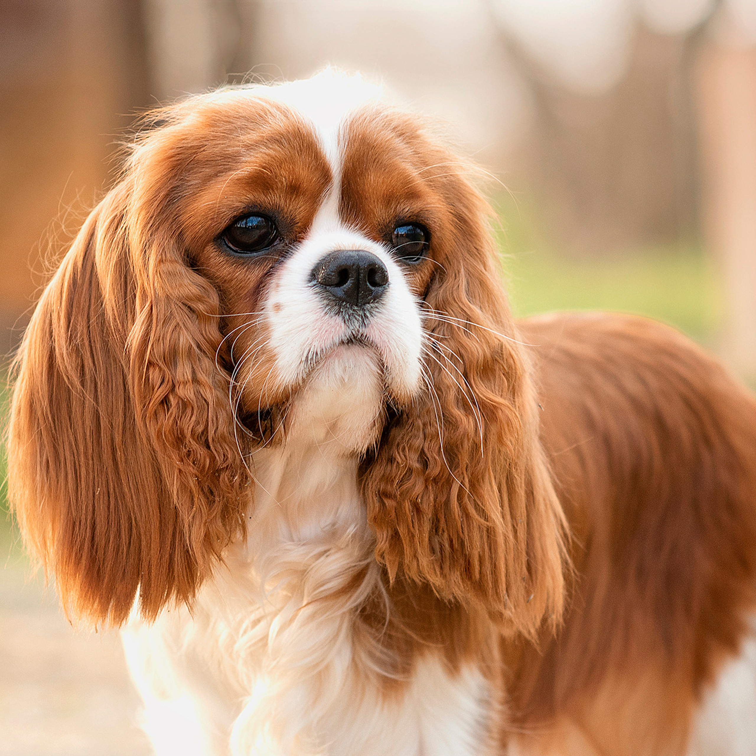 Отзывы. Семейный фотограф в Минске Виктория Дубровская
