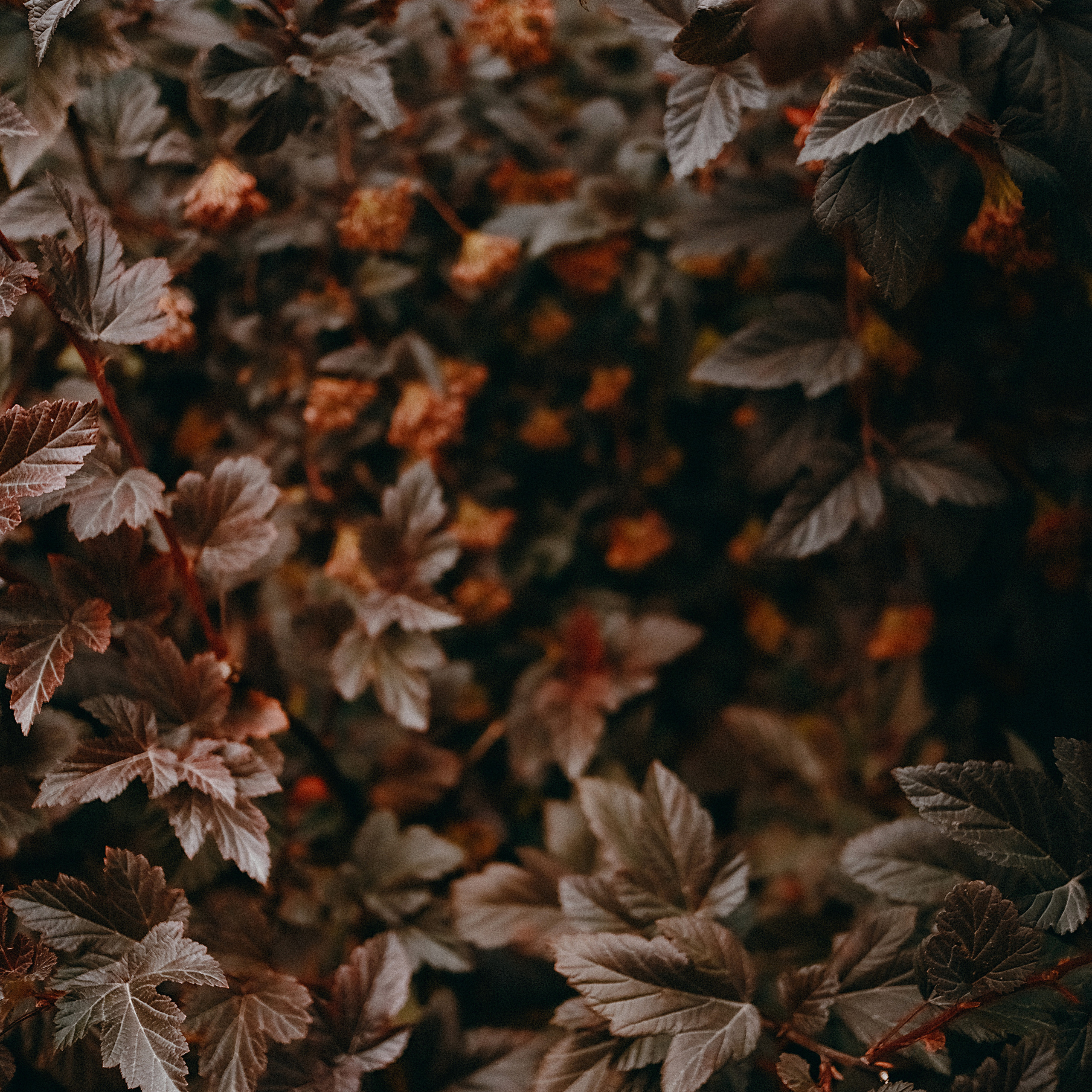 Блог. Beloglazova.ru