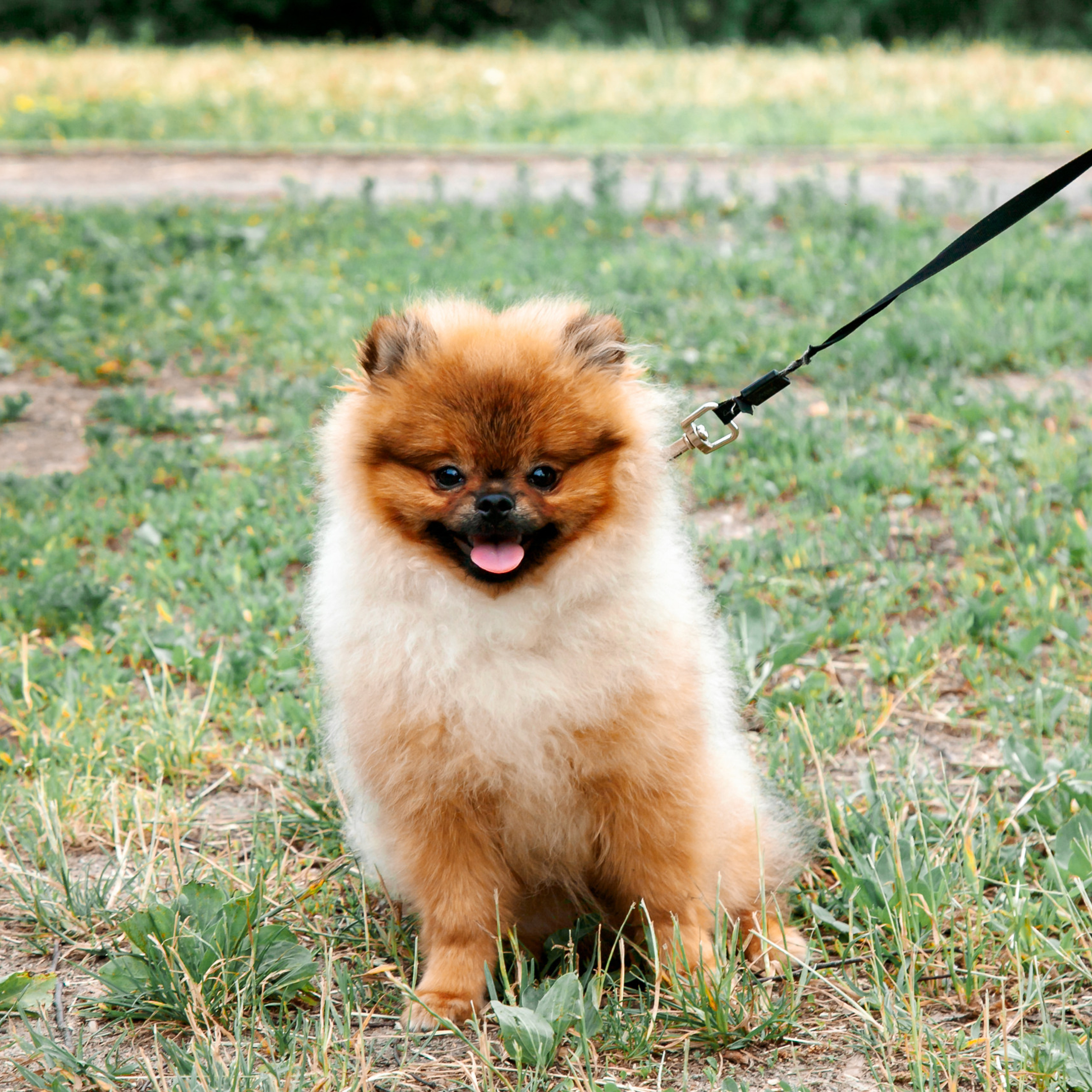 Отзывы. Свадебный и семейный фотограф в Минске Духович Татьяна